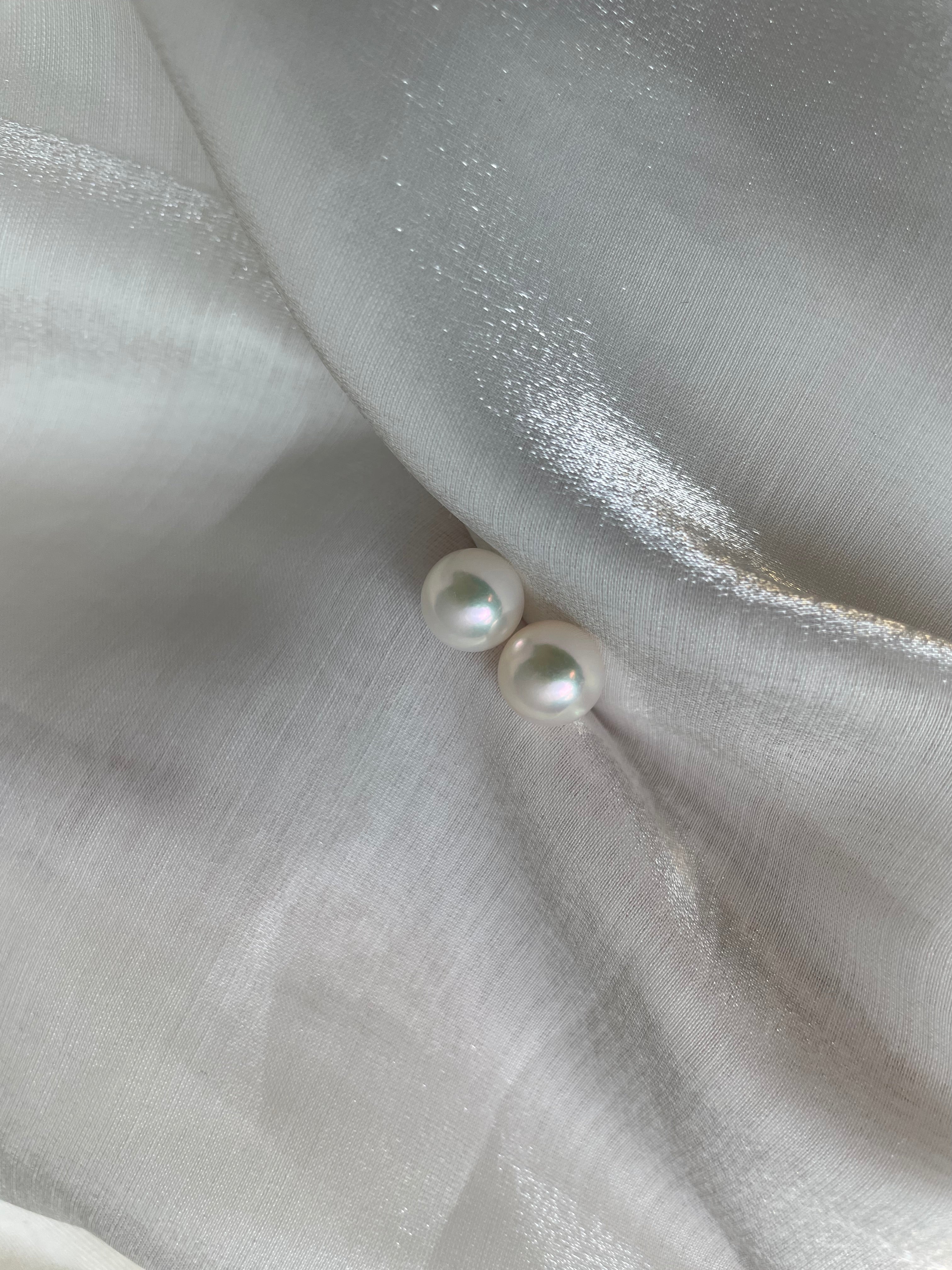 8-8.5mm Akoya Earrings in 18k Y/W Gold