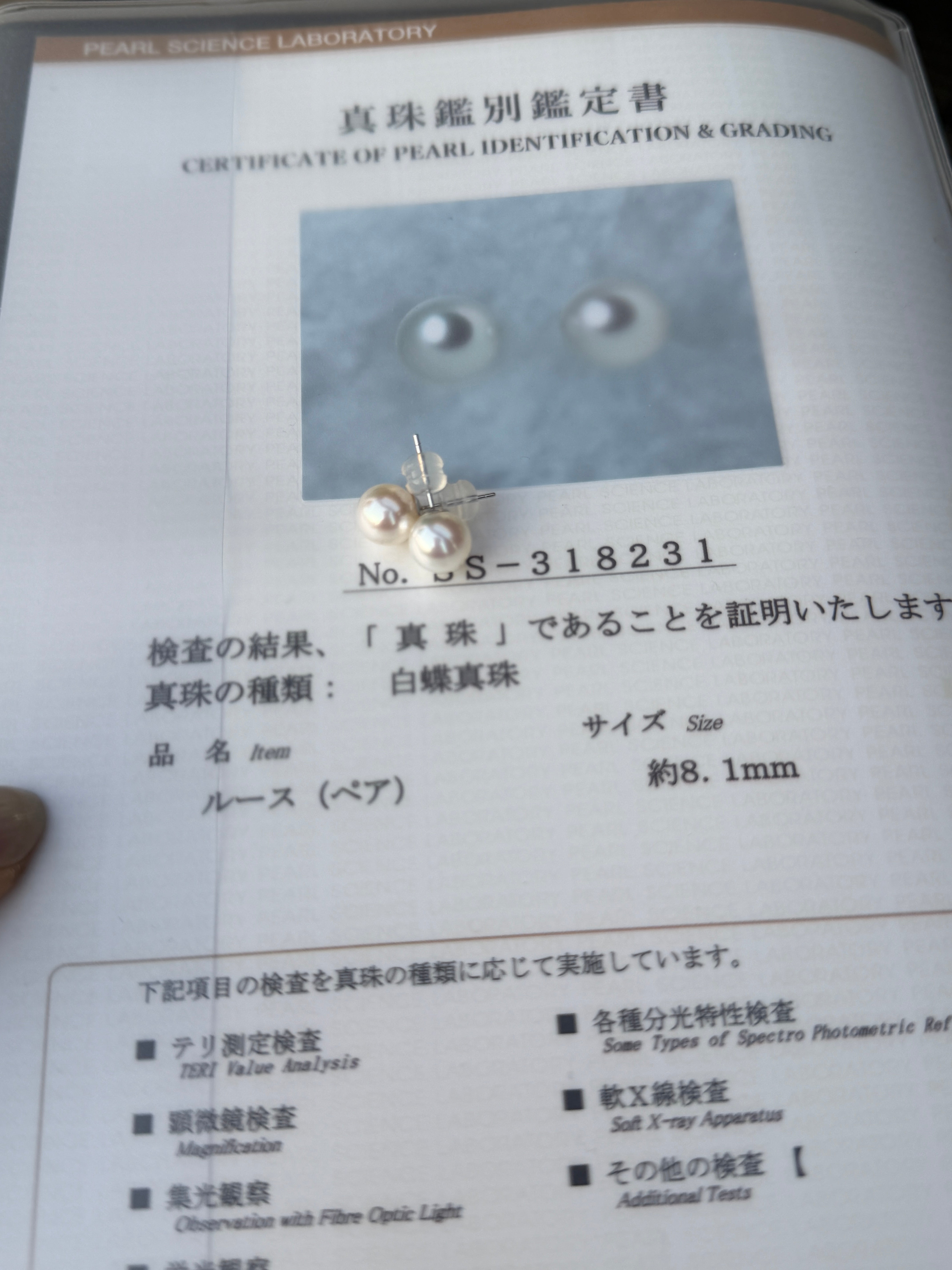 ⭐️8.1mm White South Sea Pearl Stud Earrings with Japan Pearl Science Laboratory Certificate