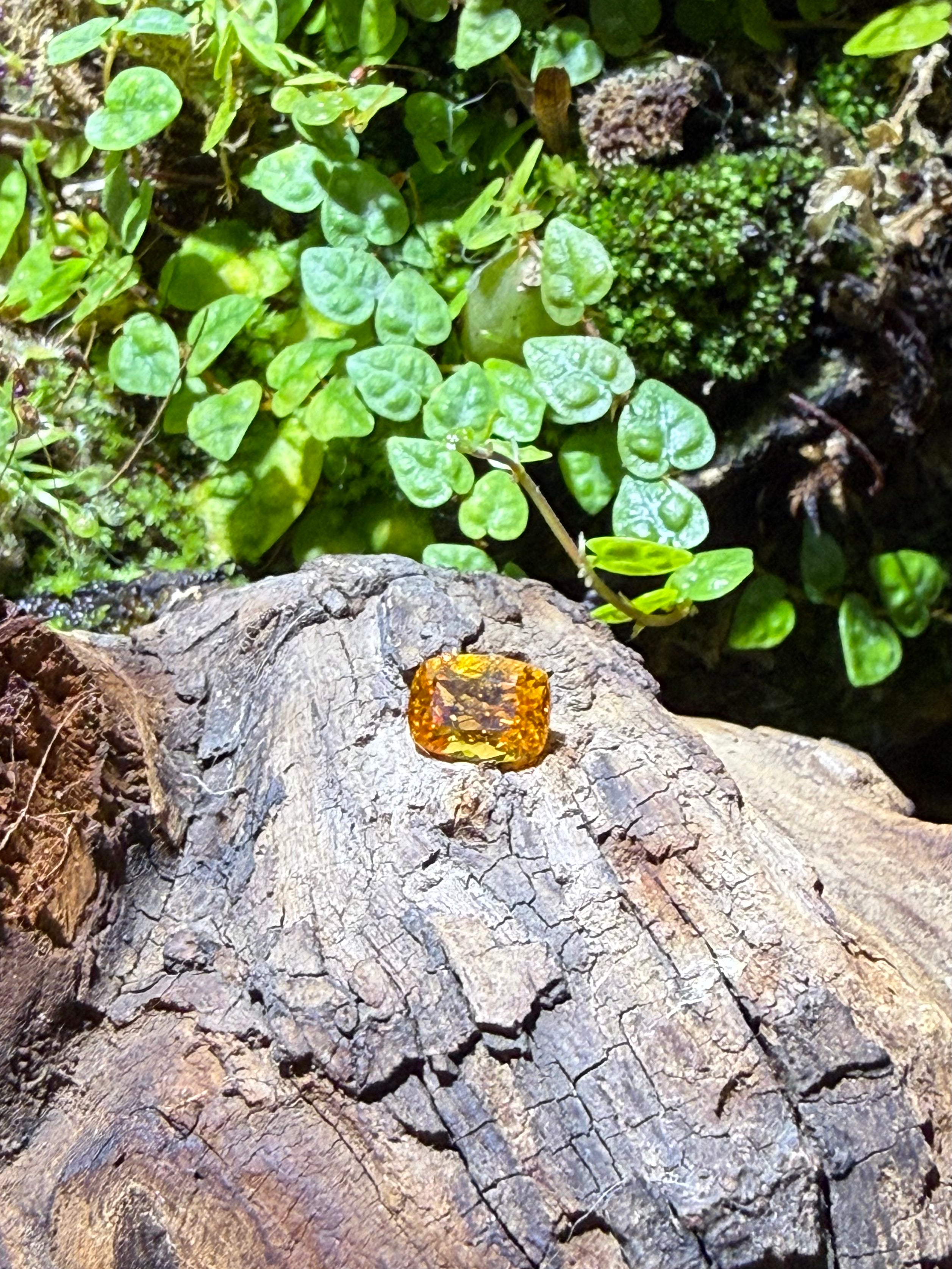 1.81CT Natural Fanta Orange Spessartite Garnet Gemstone – Cushion Cut Loose Gem