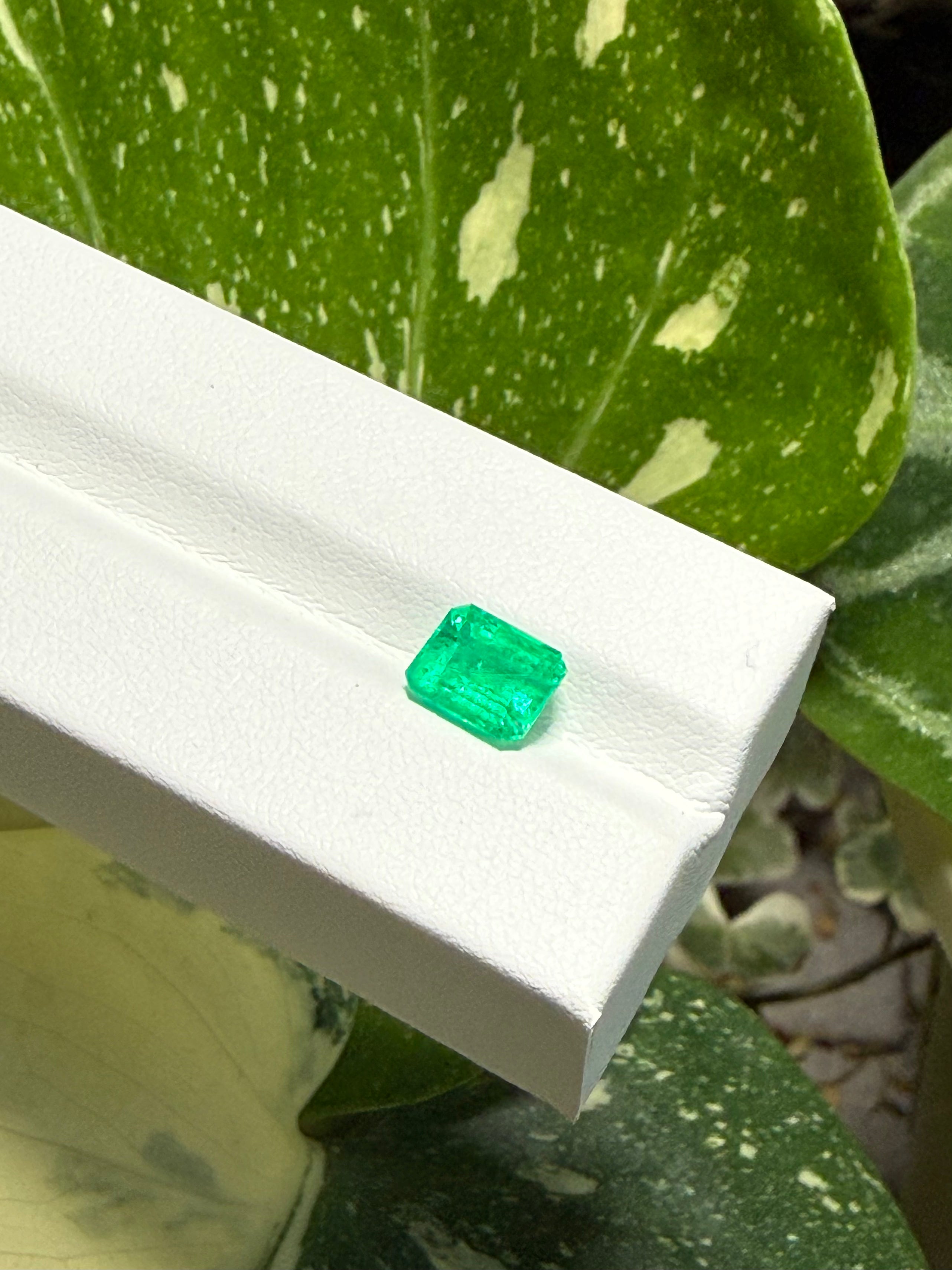 1.79CT Genuine Colombian Emerald Gemstone – Square Emerald Cut | Vivid Green | Colombian Mines