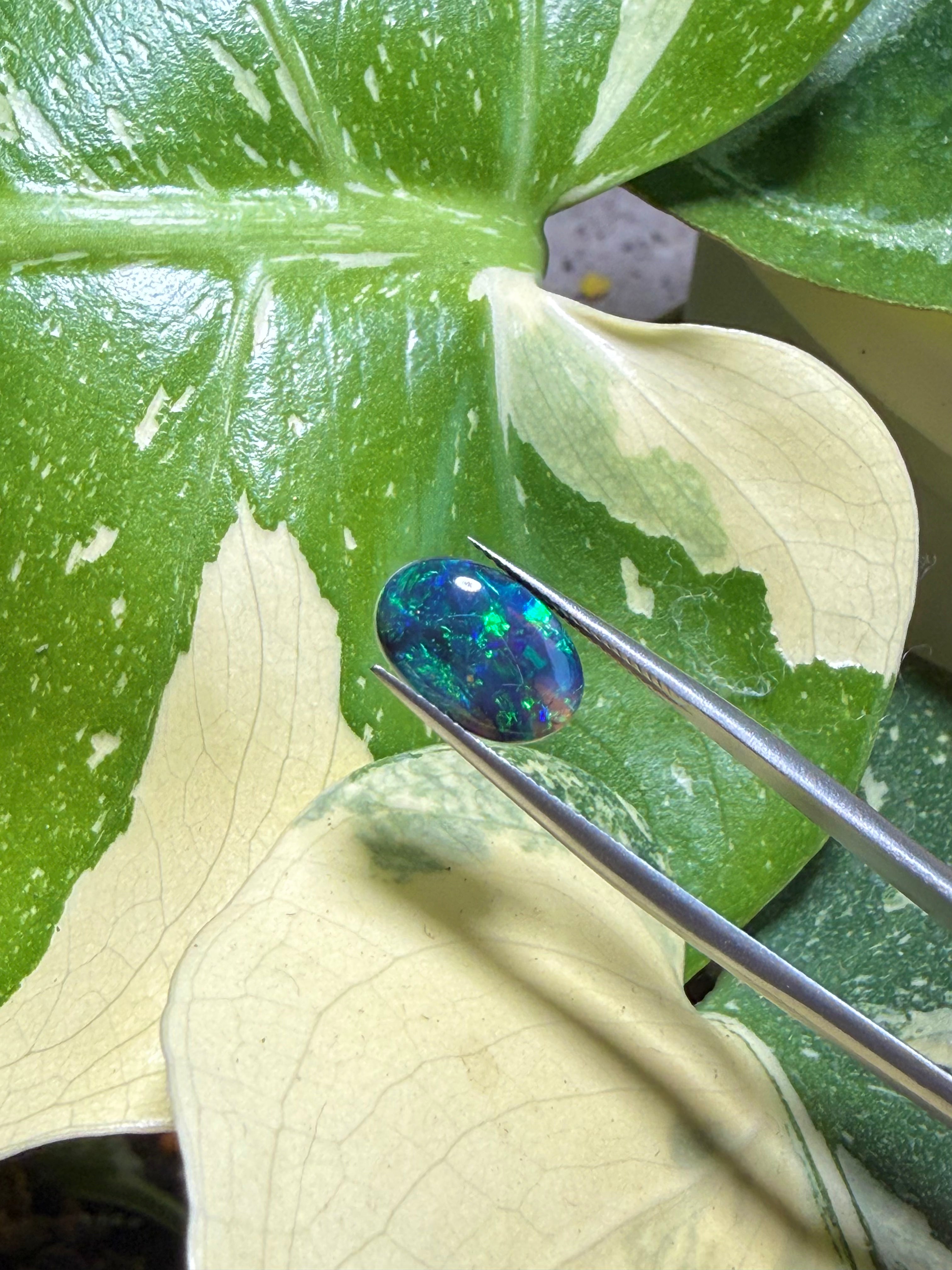 2.48CT Genuine Australian Black Opal Gemstone – Oval Cabochon | Play‑of‑Color | Australian Origin