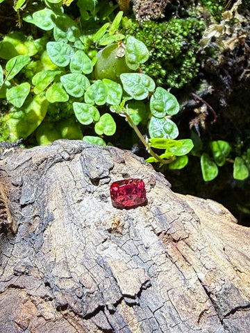 1.06CT Certified Fuchsia Pink Spinel Gemstone – Cushion Cut | Guild Certified