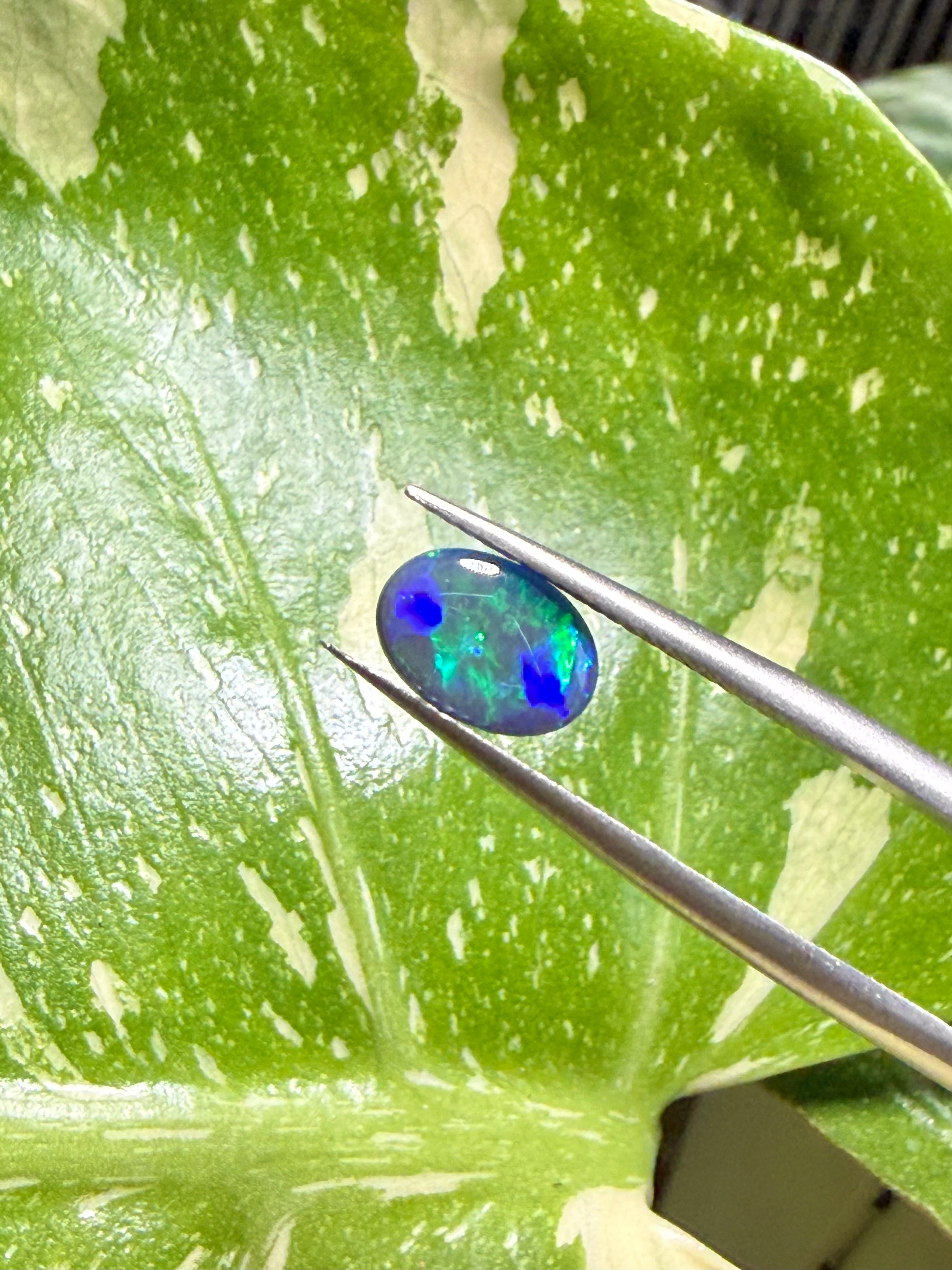 0.95CT Genuine Australian Black Opal Gemstone – Oval Cabochon | Play‑of‑Color | Australian Origin