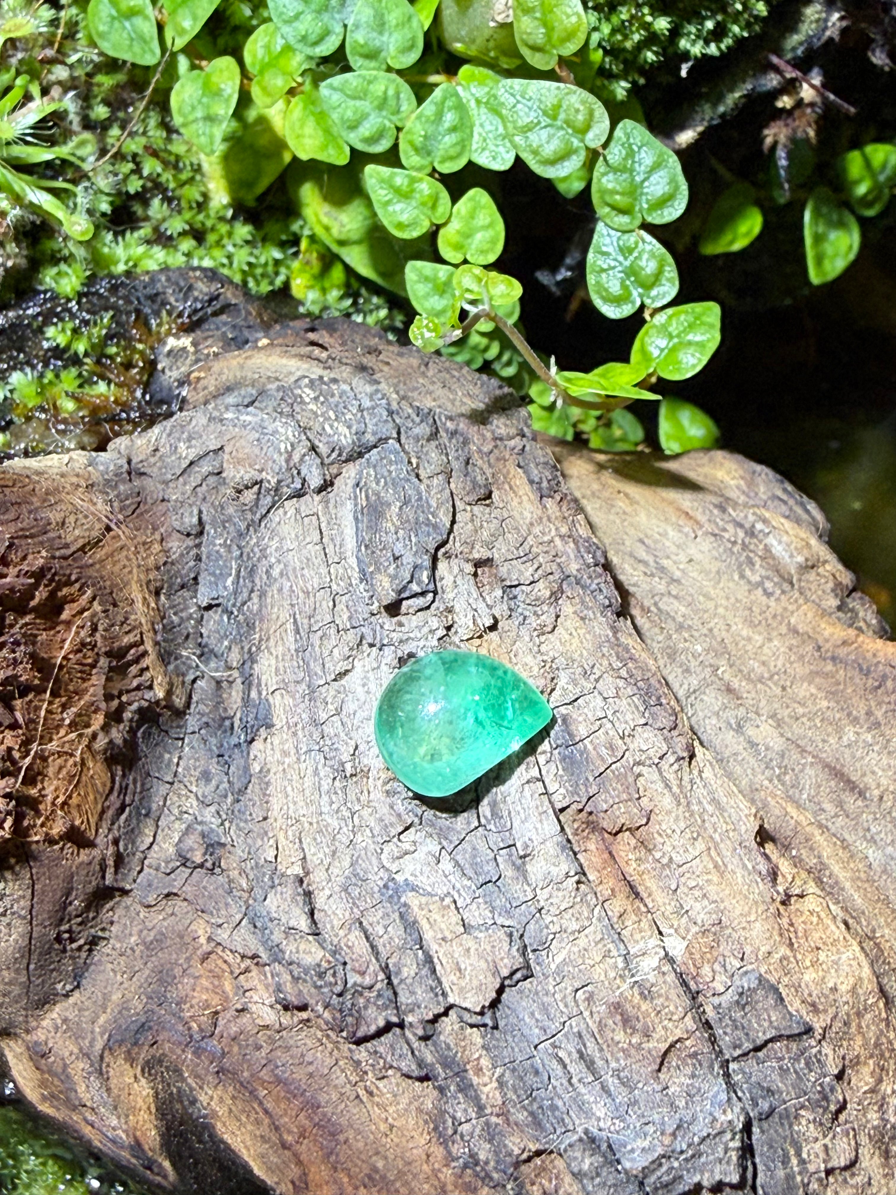2.51CT Natural Russian Aquamarine Gemstone – Pear Cabochon Loose Gem
