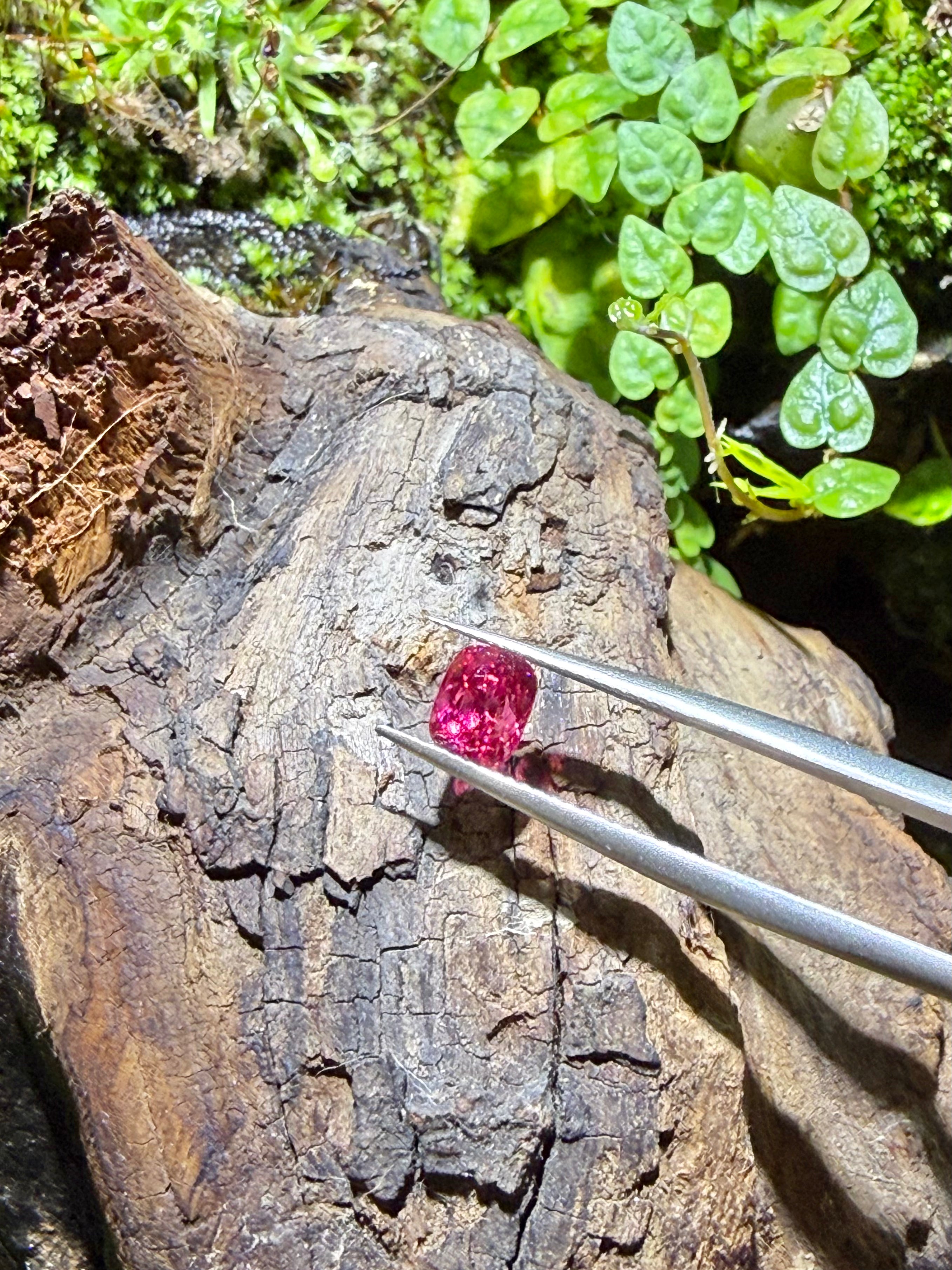 1.02CT Certified Super Fuchsia Pink Spinel Gemstone – Cushion Cut | Guild Certified