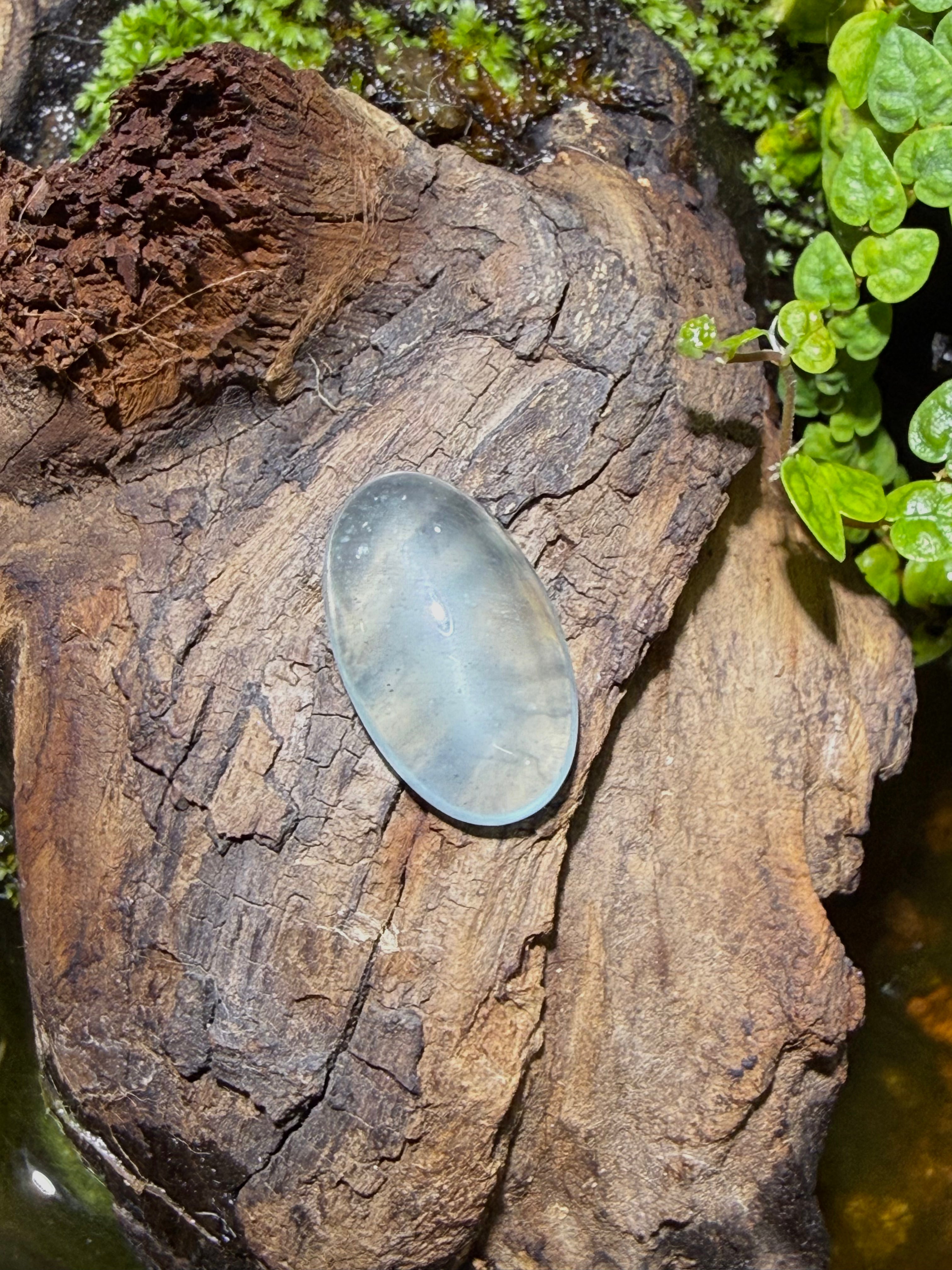 11.5CT Natural Aquamarine Gemstone – Oval Cabochon Loose Gem