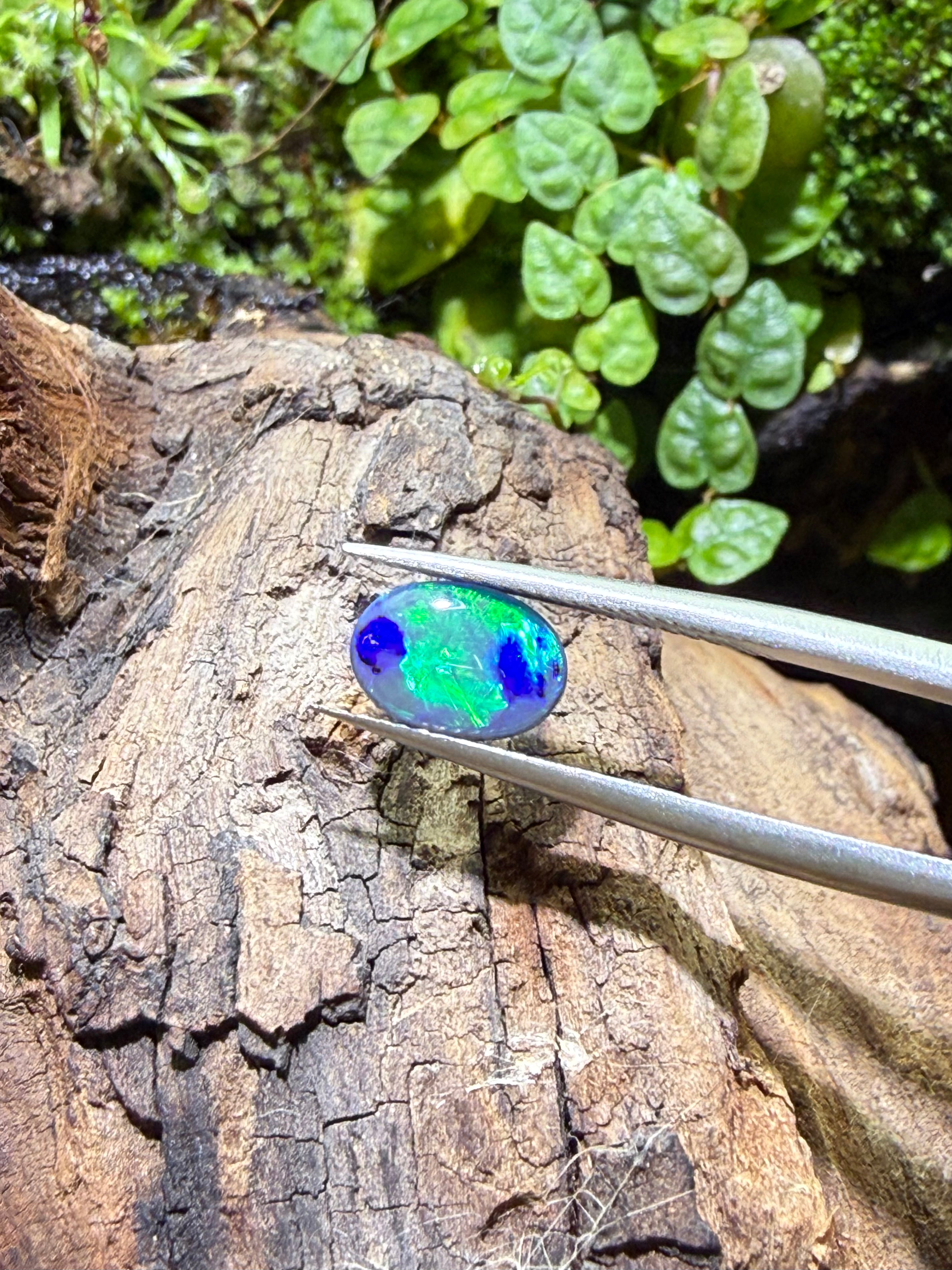 0.95CT Genuine Australian Black Opal Gemstone – Oval Cabochon | Play‑of‑Color | Australian Origin