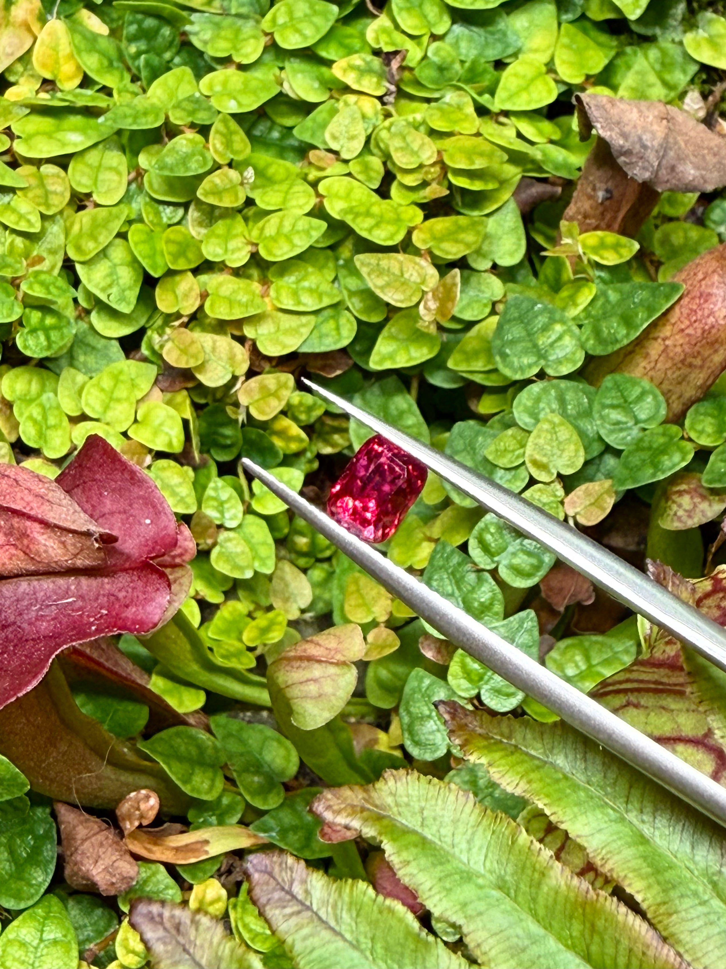 1.06CT Certified Fuchsia Pink Spinel Gemstone – Cushion Cut | Guild Certified
