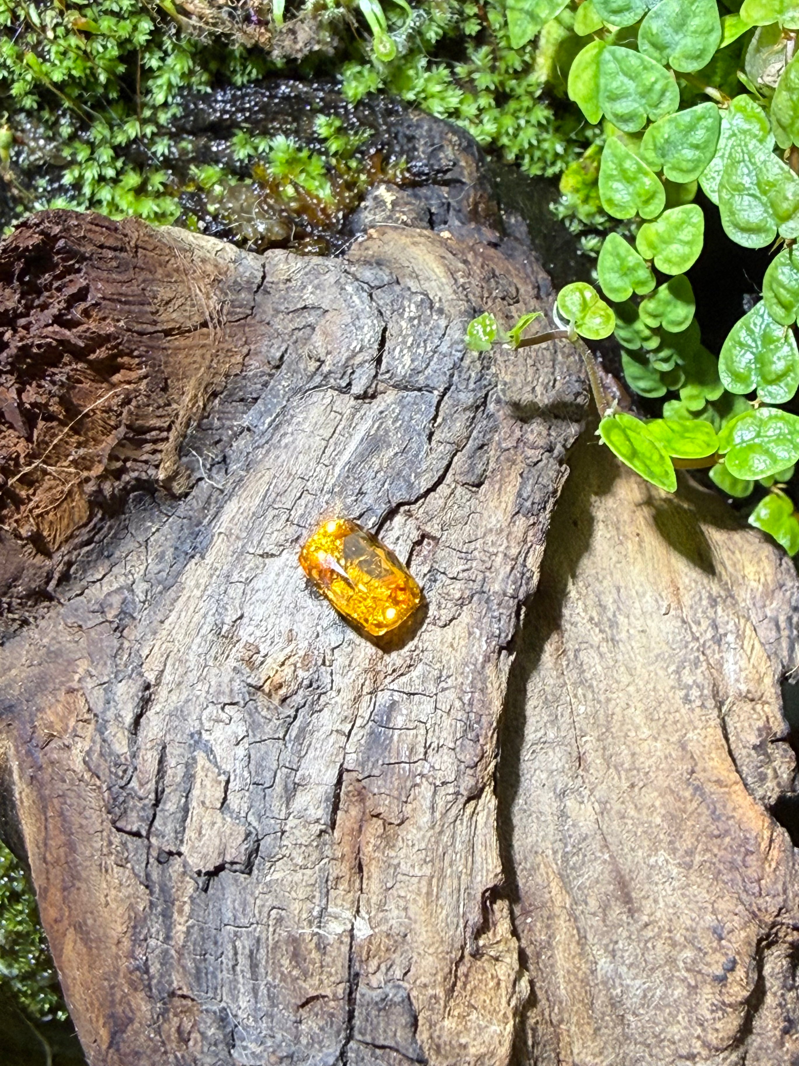 1.81CT Natural Fanta Orange Spessartite Garnet Gemstone – Cushion Cut Loose Gem