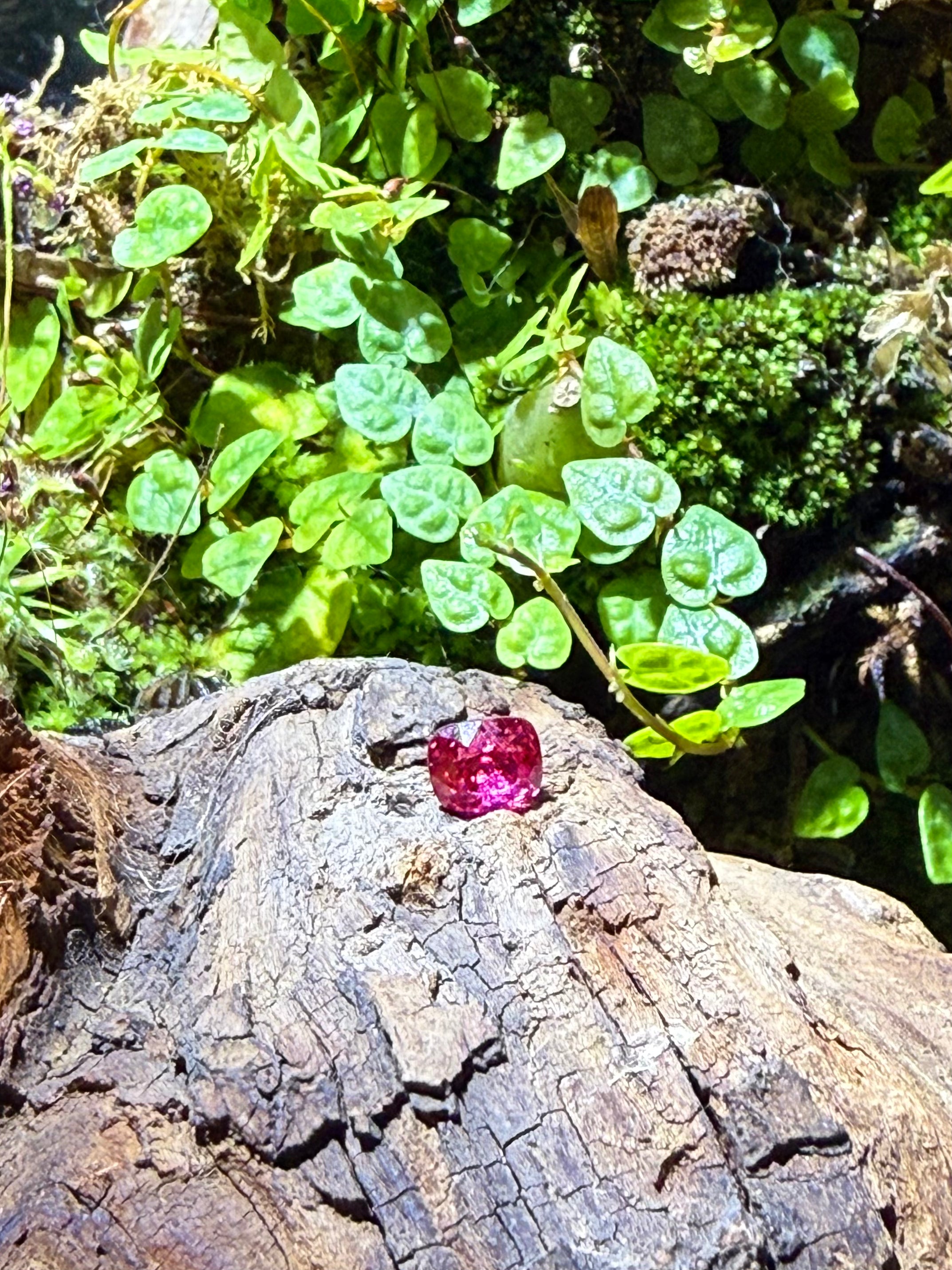 1.02CT Certified Super Fuchsia Pink Spinel Gemstone – Cushion Cut | Guild Certified