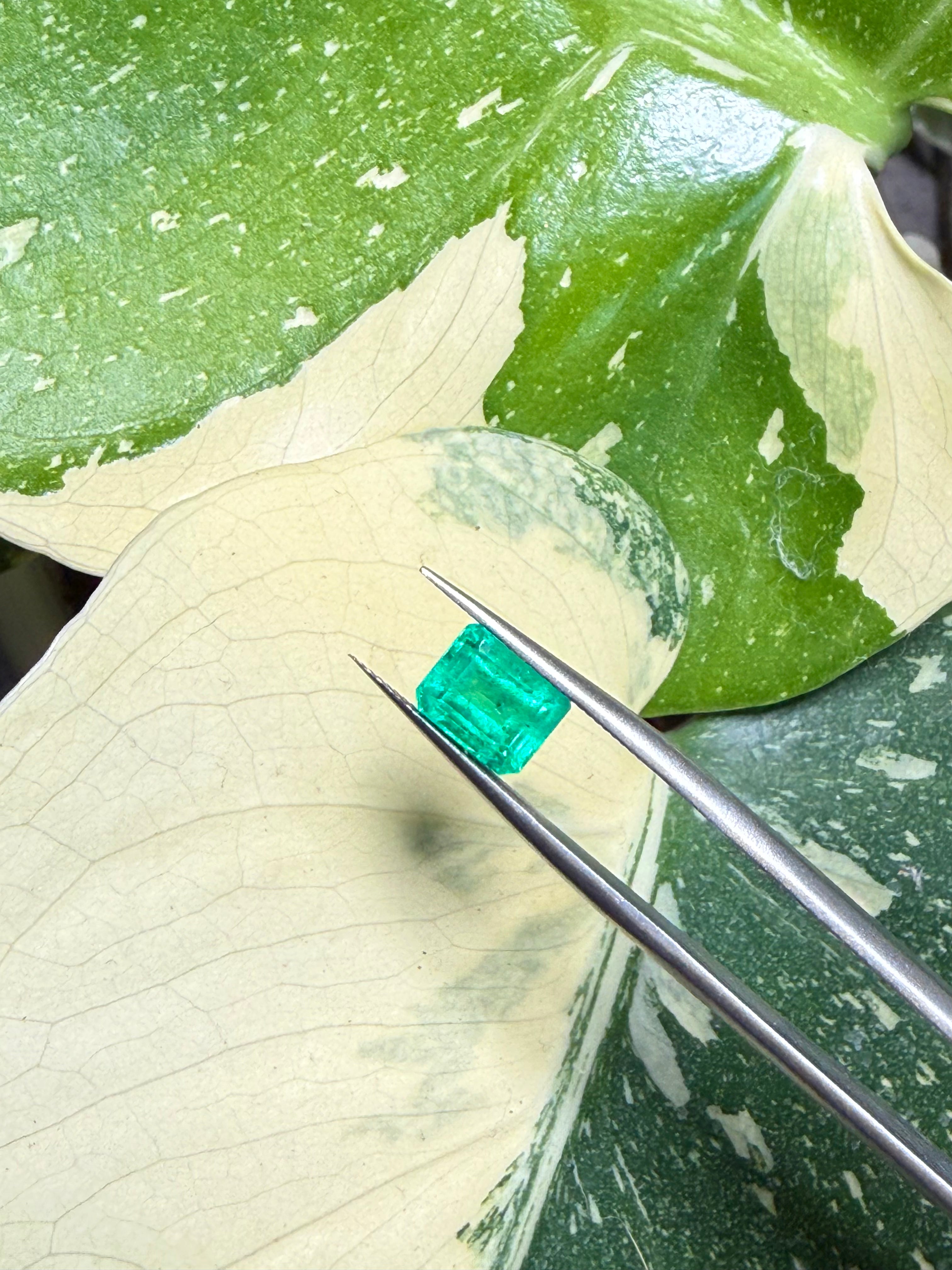 1.79CT Genuine Colombian Emerald Gemstone – Square Emerald Cut | Vivid Green | Colombian Mines