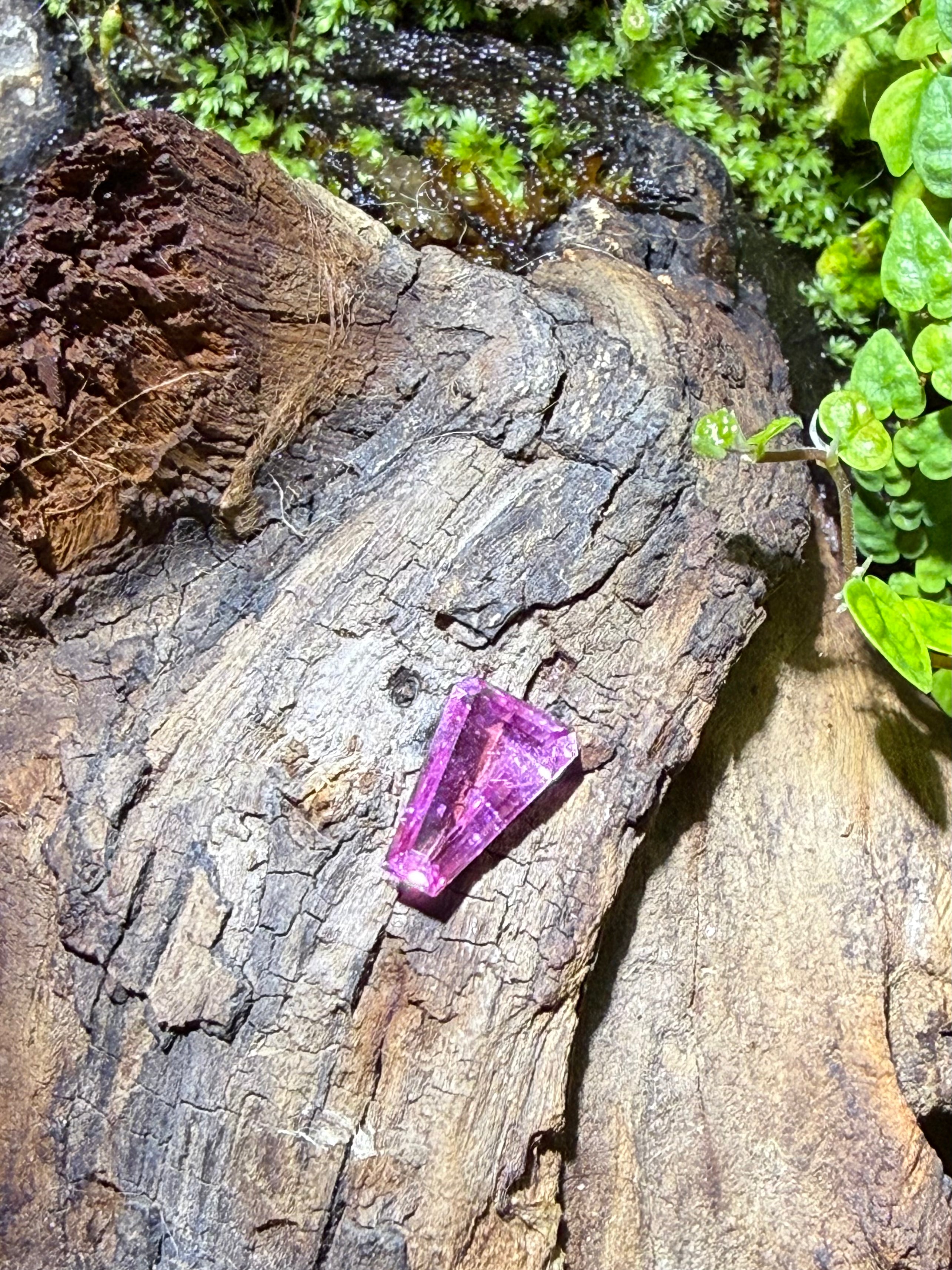 1.81CT Certified Padparadscha‑Hue Sapphire Gemstone – Trapezoid Cut | Guild Certified