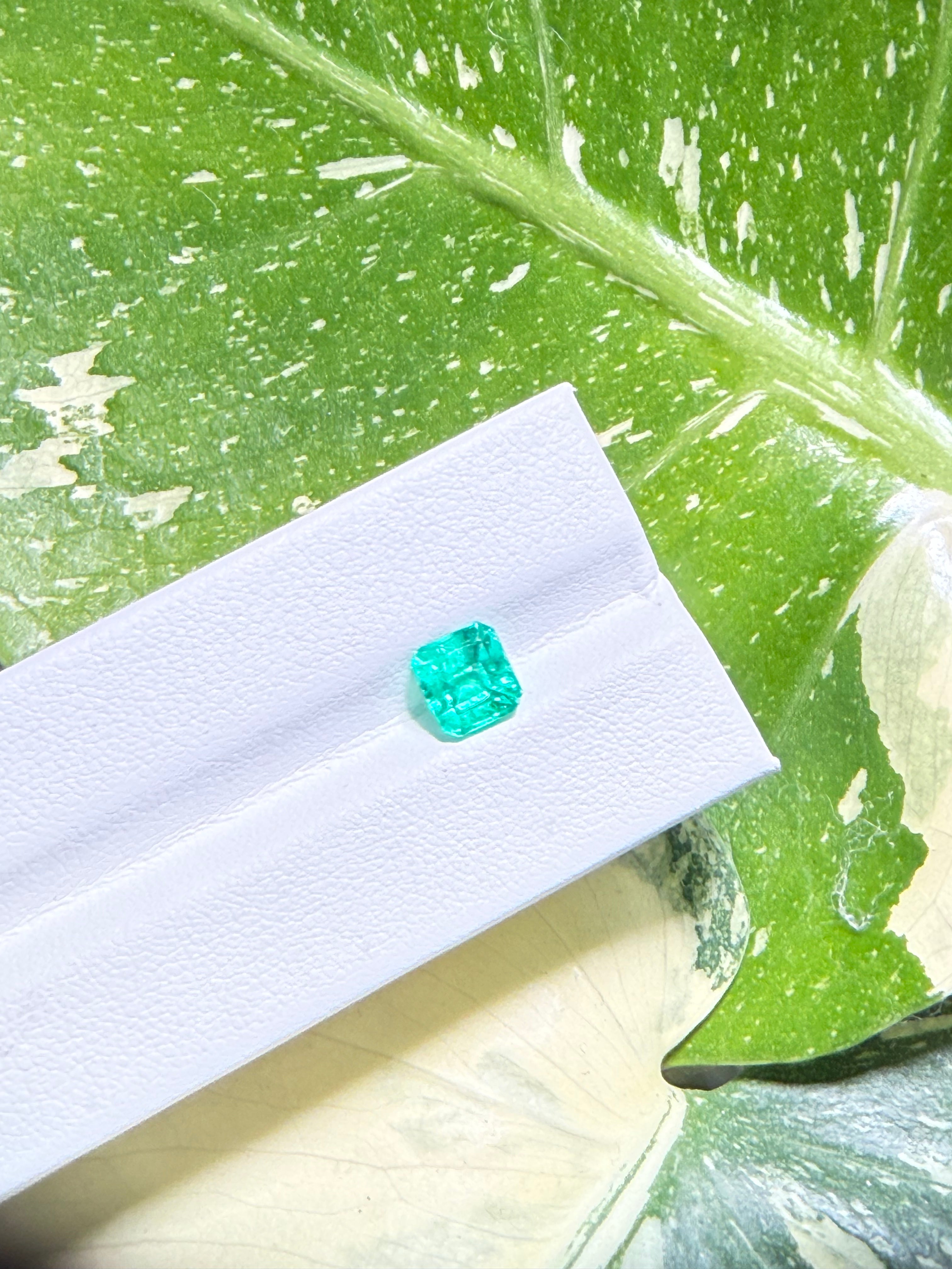 1.21CT Genuine Colombian Emerald Gemstone – Square Emerald Cut | Muzo Origin | Unheated | Guild Certified
