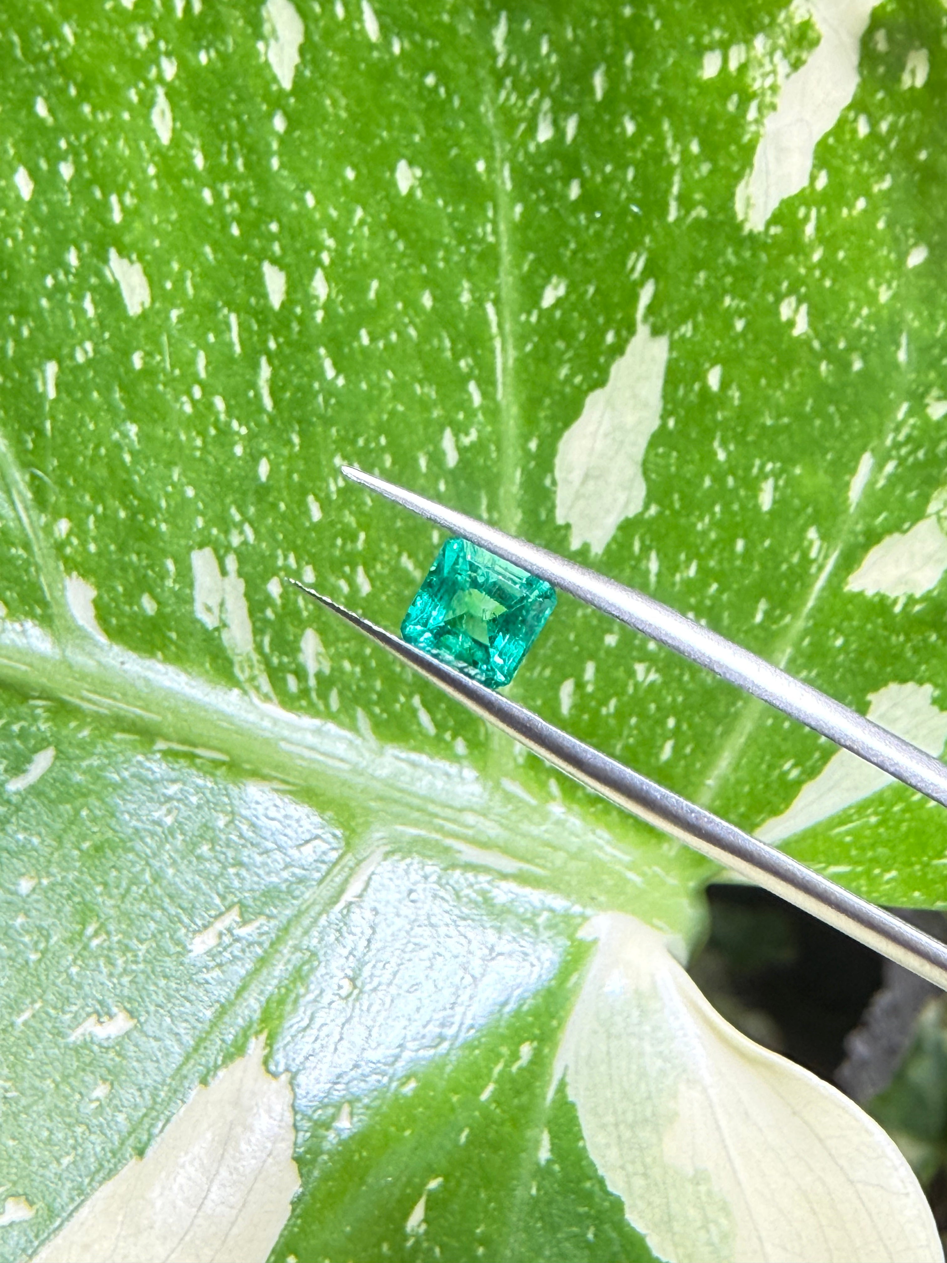 1.21CT Genuine Colombian Emerald Gemstone – Square Emerald Cut | Muzo Origin | Unheated | Guild Certified