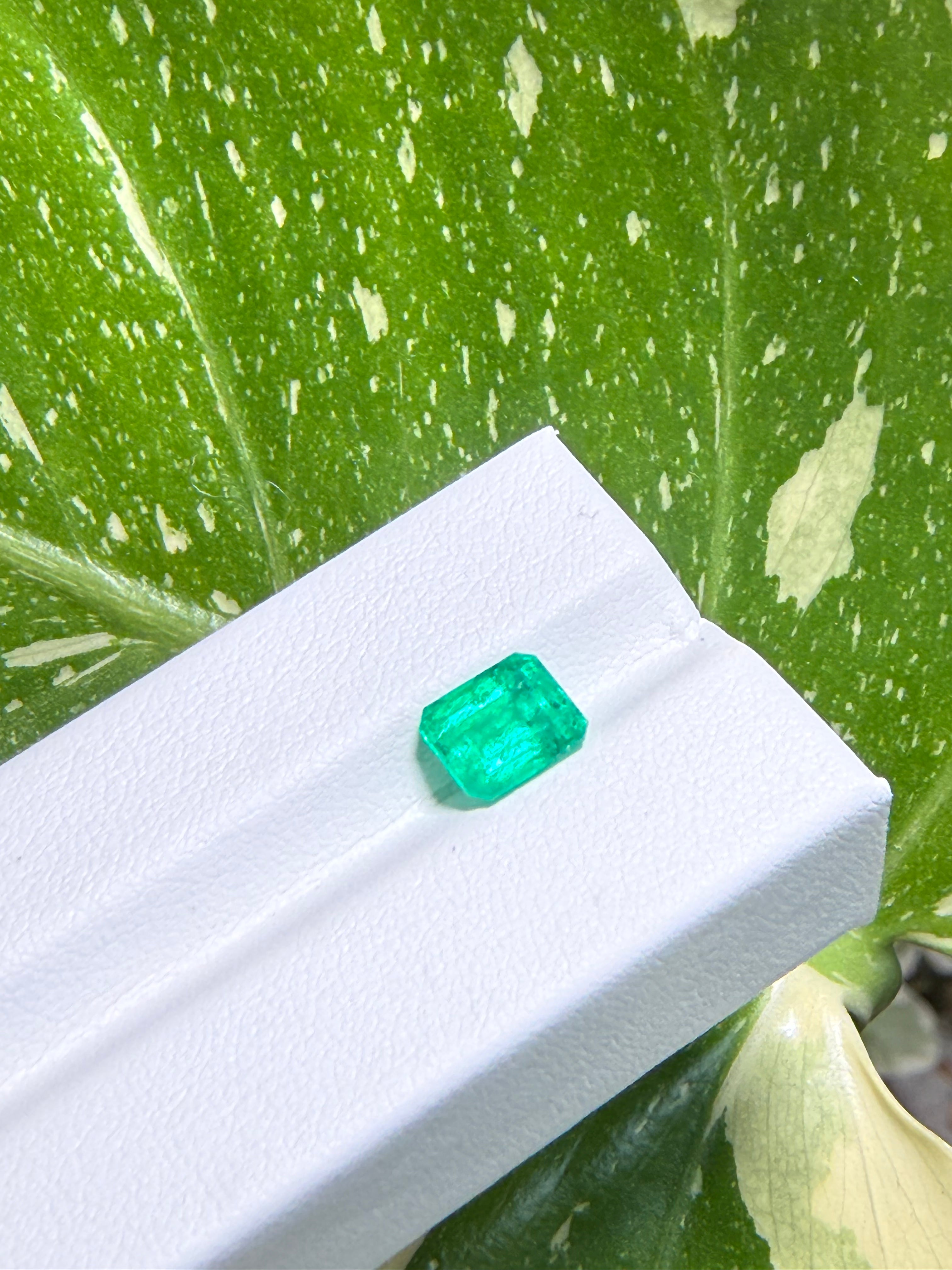 1.79CT Genuine Colombian Emerald Gemstone – Square Emerald Cut | Vivid Green | Colombian Mines