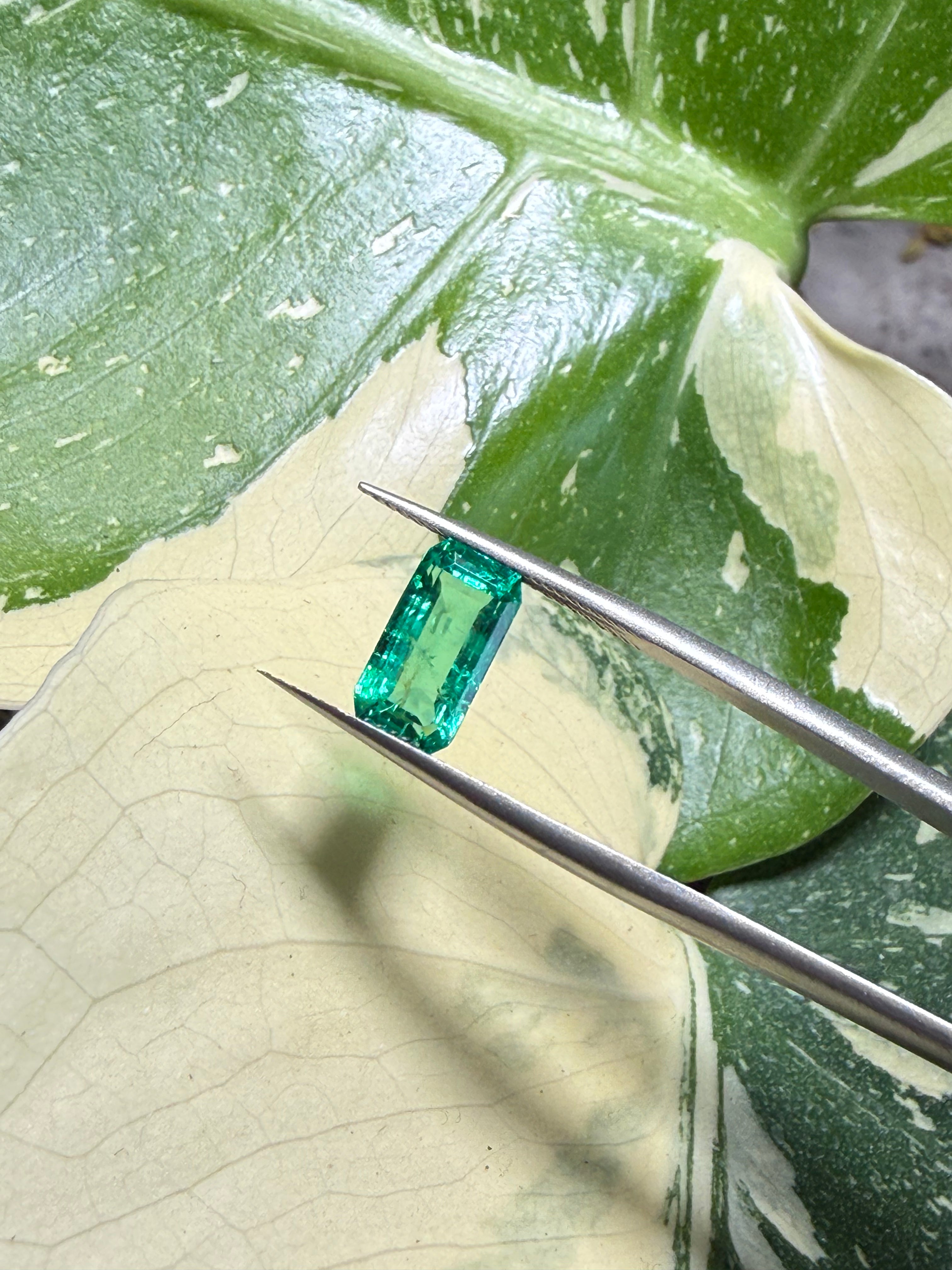 2.48CT Genuine Colombian Emerald Gemstone – Rectangular Emerald Cut | Vivid Green | Muzo Origin | Guild Certified