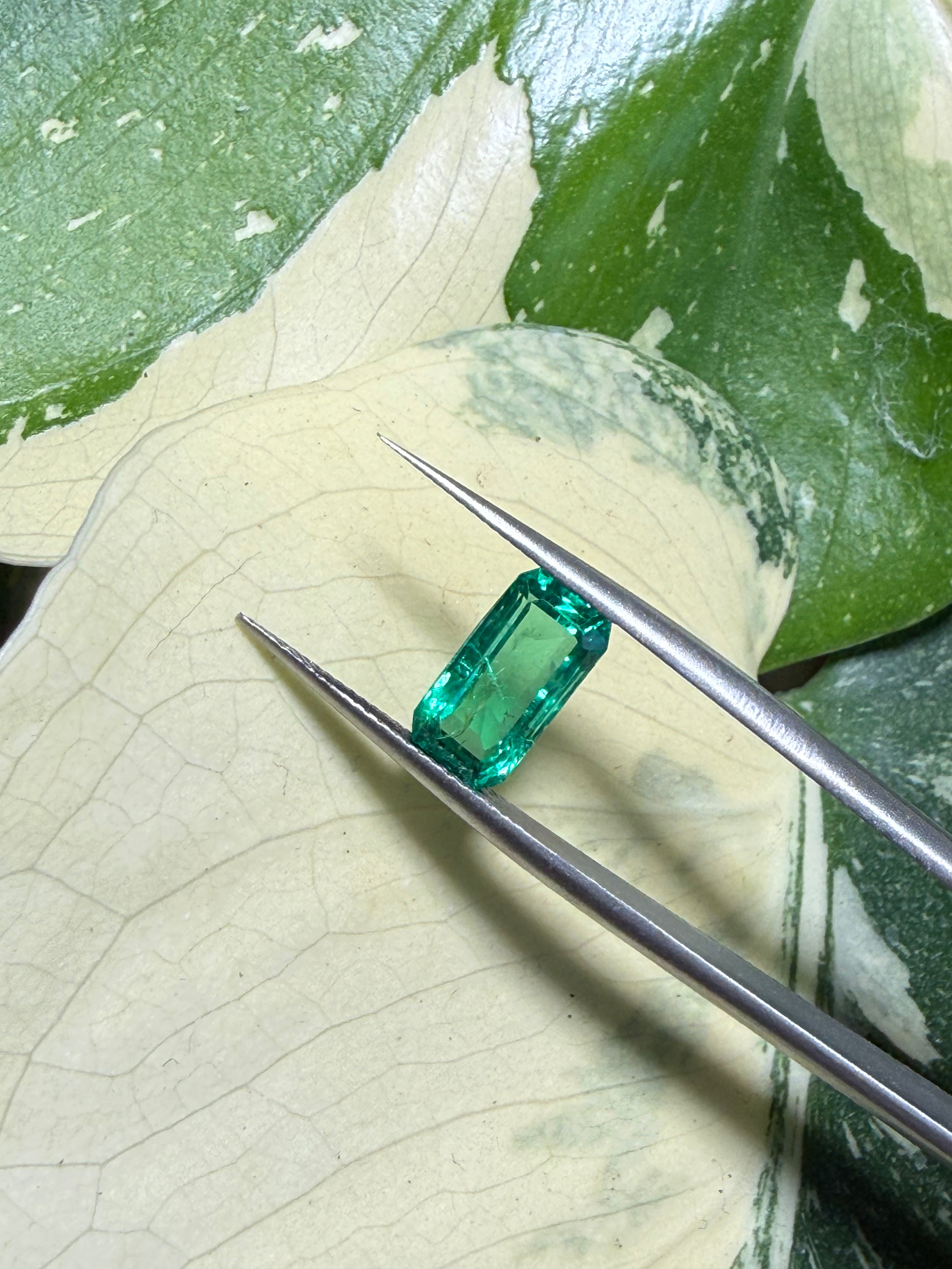 2.48CT Genuine Colombian Emerald Gemstone – Rectangular Emerald Cut | Vivid Green | Muzo Origin | Guild Certified