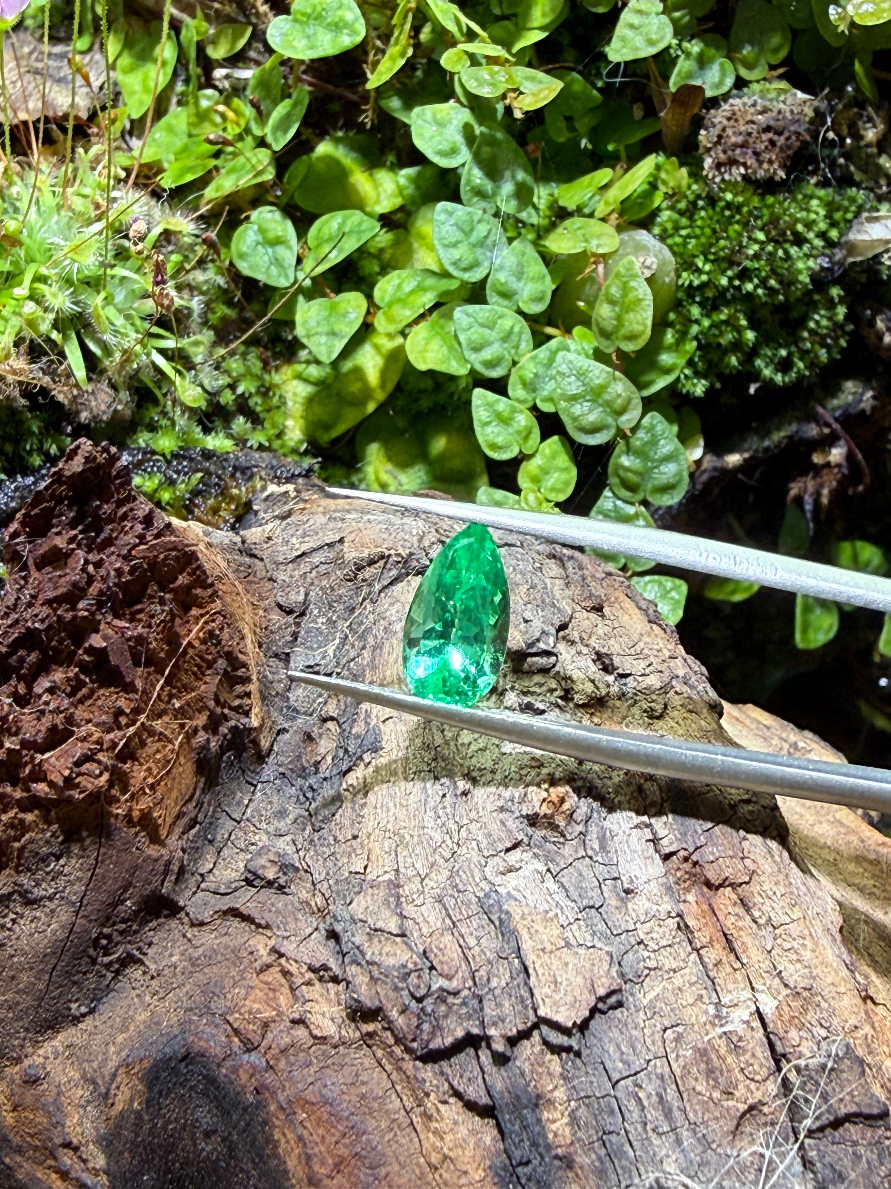 1.33CT Genuine Colombian Emerald Gemstone – Pear Cut | Vivid Green | Colombian Mines