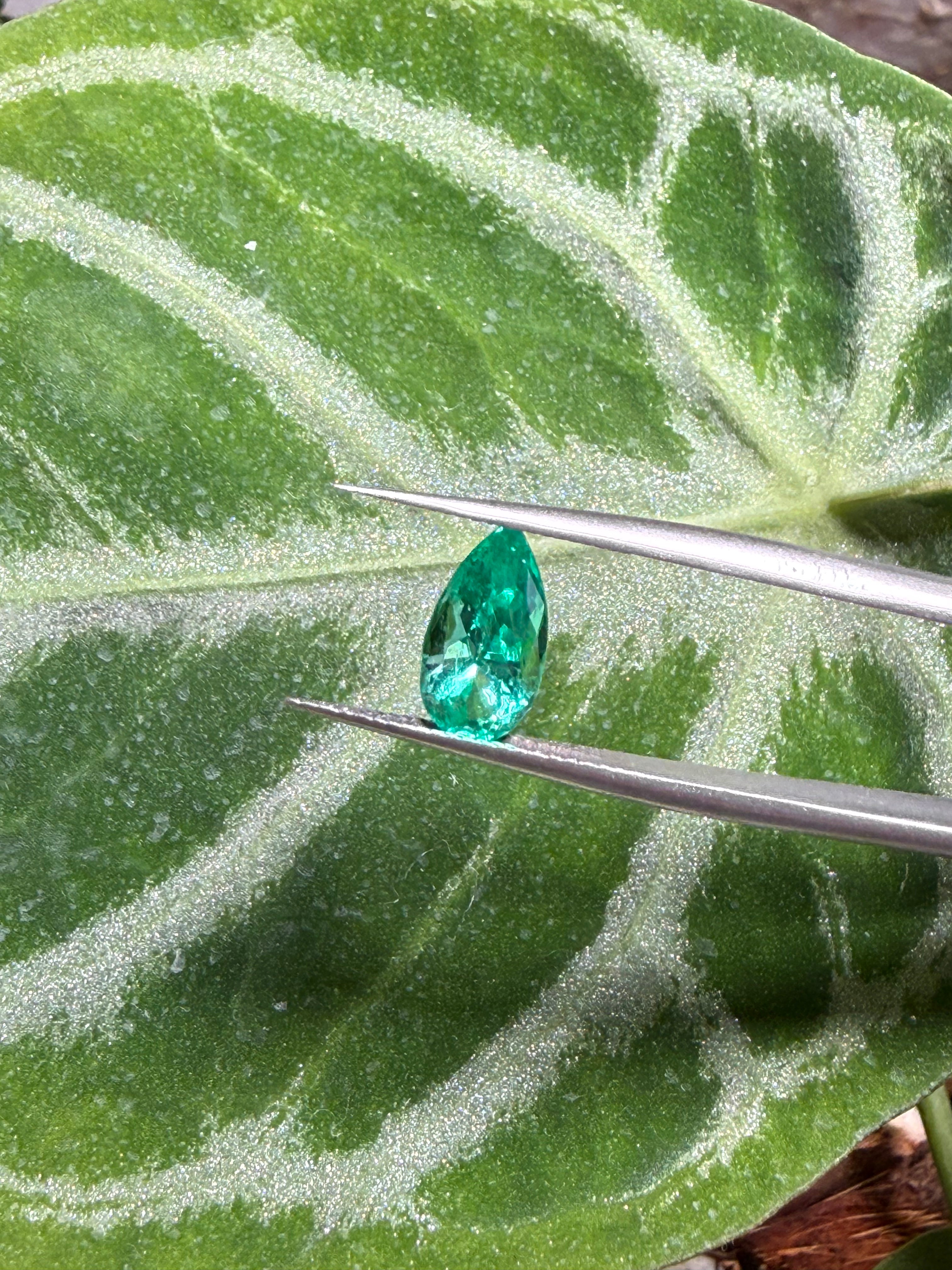 1.33CT Genuine Colombian Emerald Gemstone – Pear Cut | Vivid Green | Colombian Mines