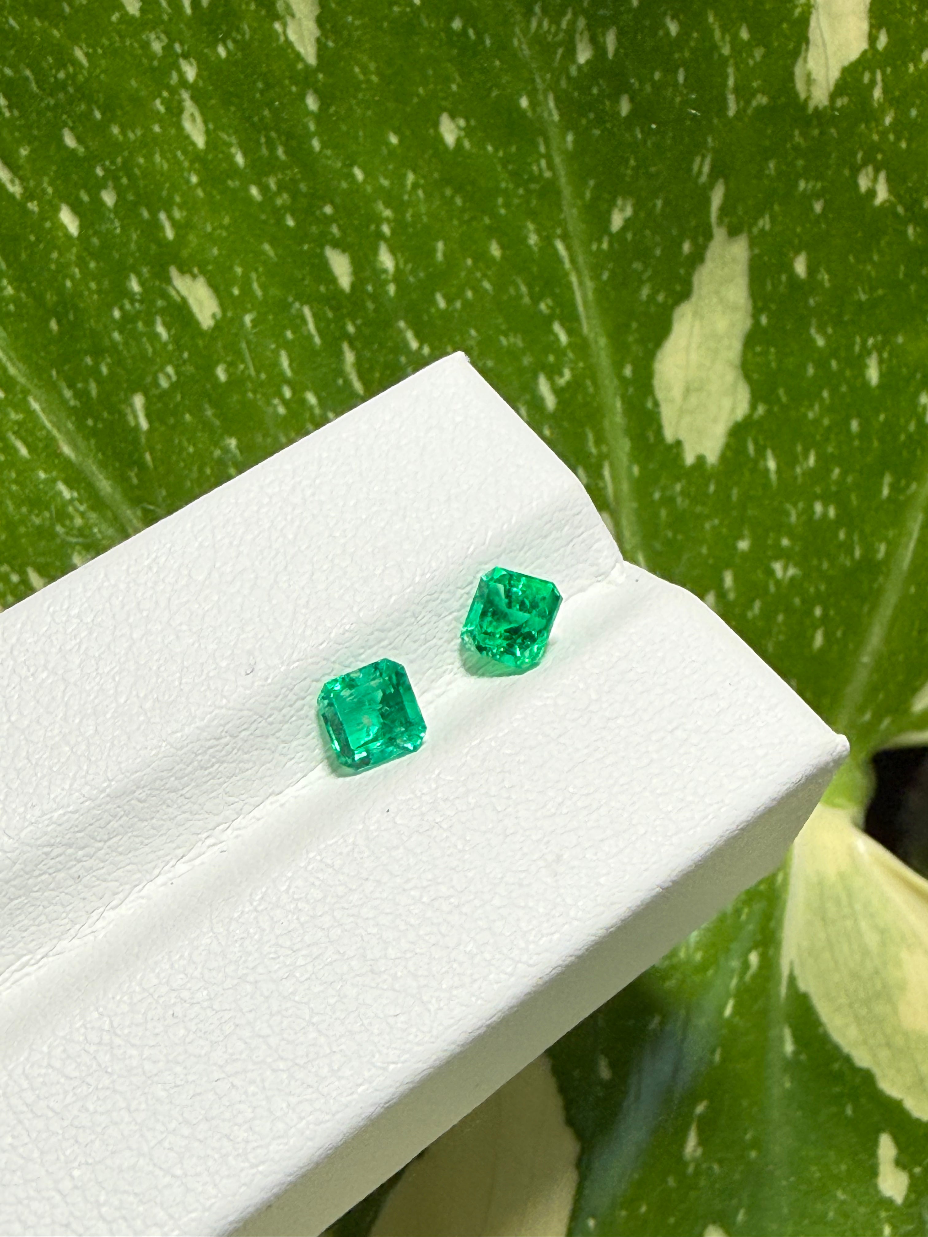 1CT Total Genuine Colombian Emerald Pair – Square Emerald Cut | Matching Gem Set | Colombian Mines