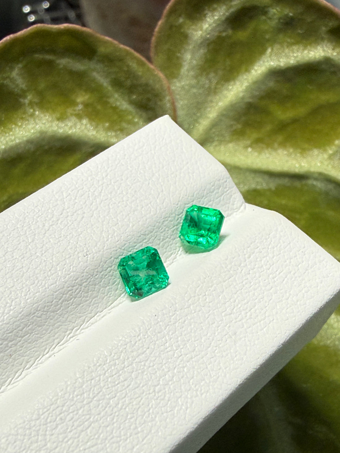 1CT Total Genuine Colombian Emerald Pair – Square Emerald Cut | Matching Gem Set | Colombian Mines