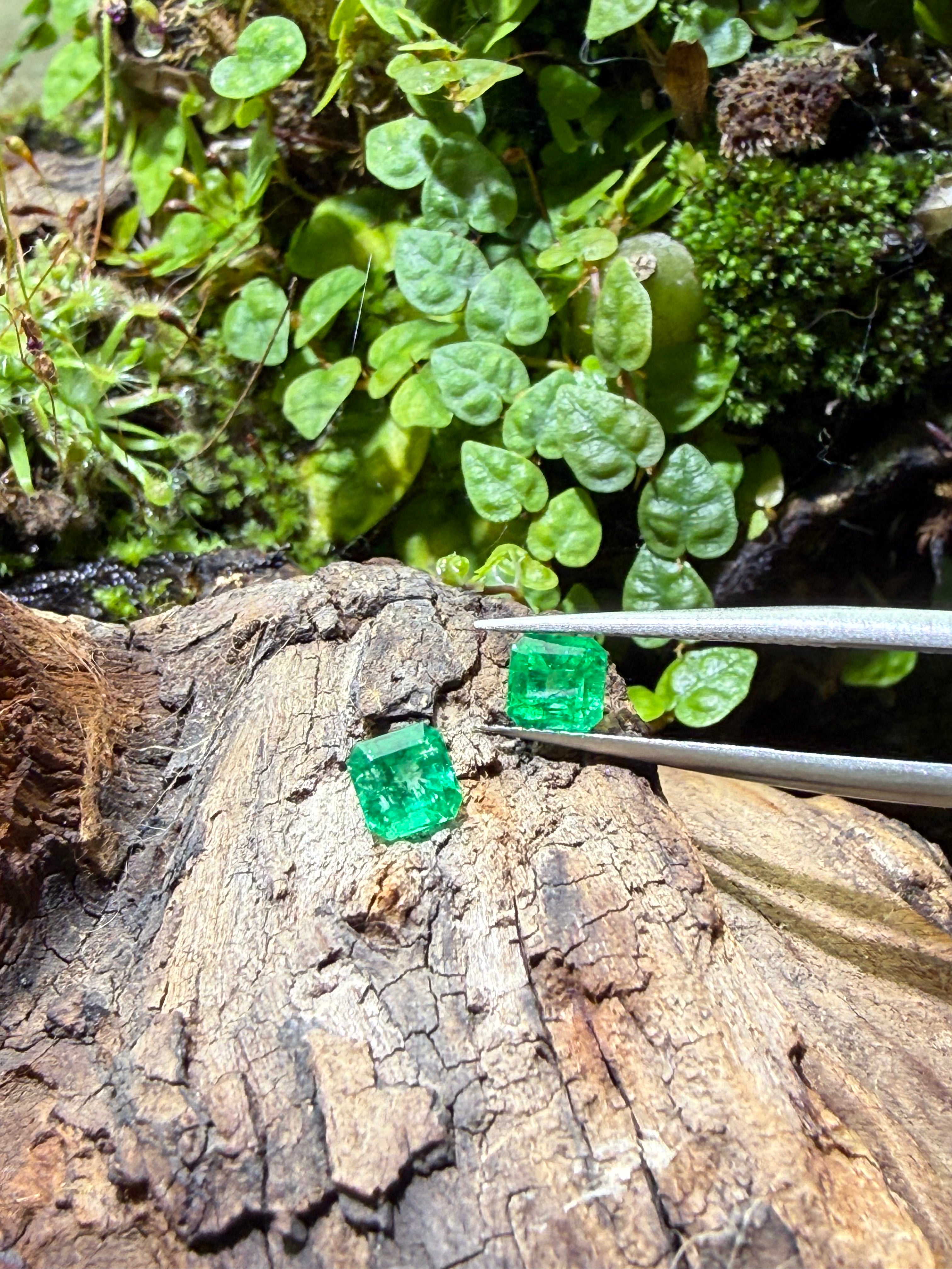 1CT Total Genuine Colombian Emerald Pair – Square Emerald Cut | Matching Gem Set | Colombian Mines