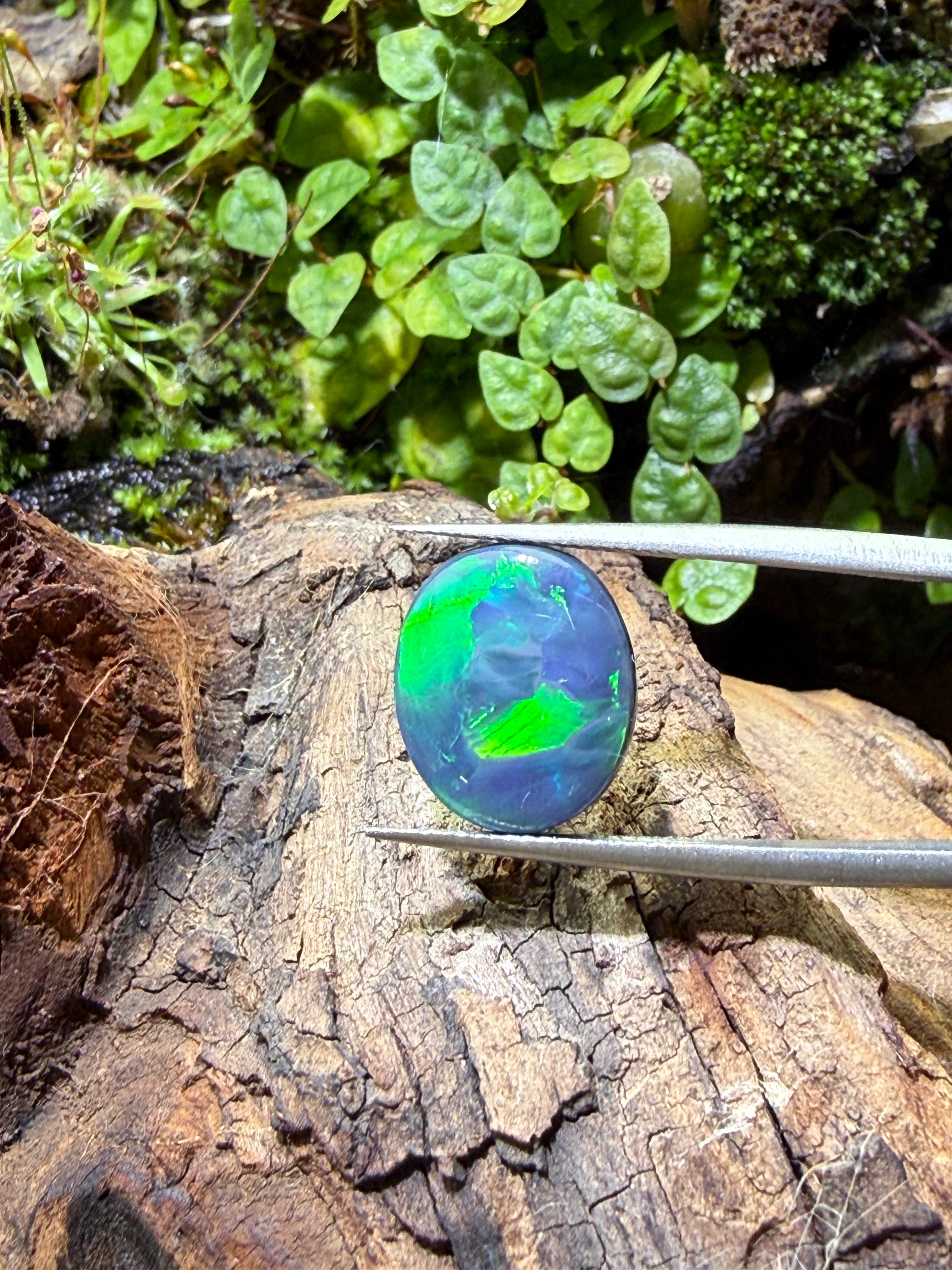 4.27CT Genuine Australian Black Opal Gemstone – Oval Cabochon | Play‑of‑Color | Australian Origin