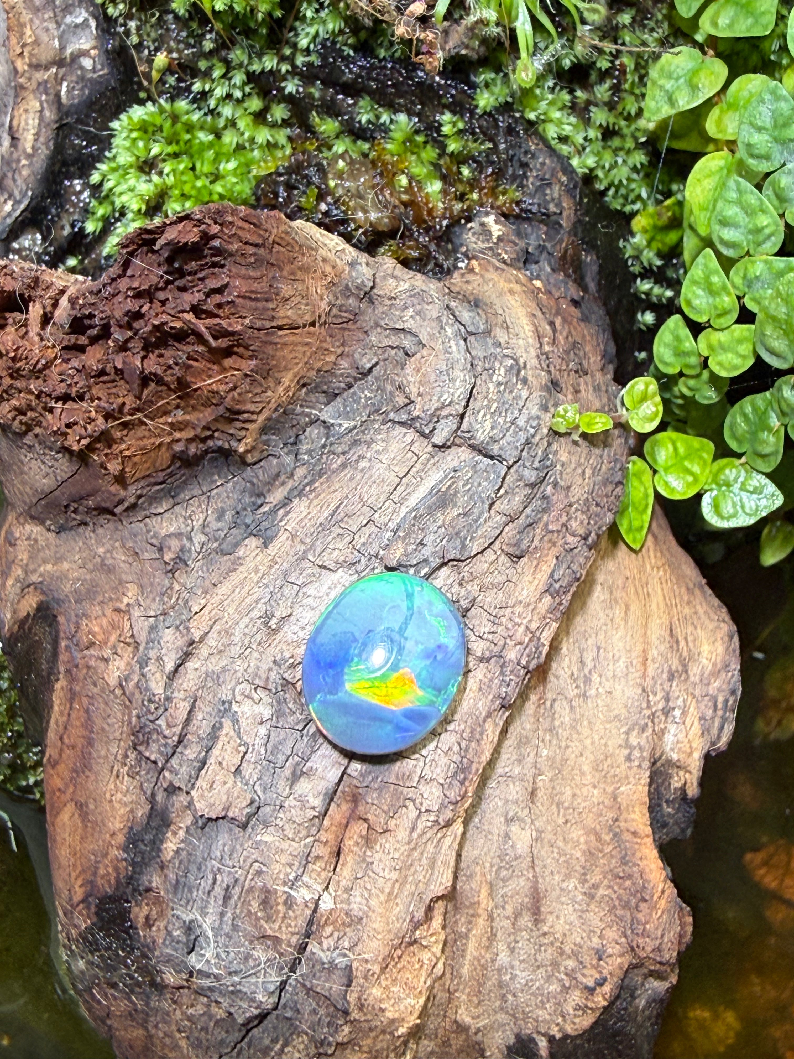 4.27CT Genuine Australian Black Opal Gemstone – Oval Cabochon | Play‑of‑Color | Australian Origin