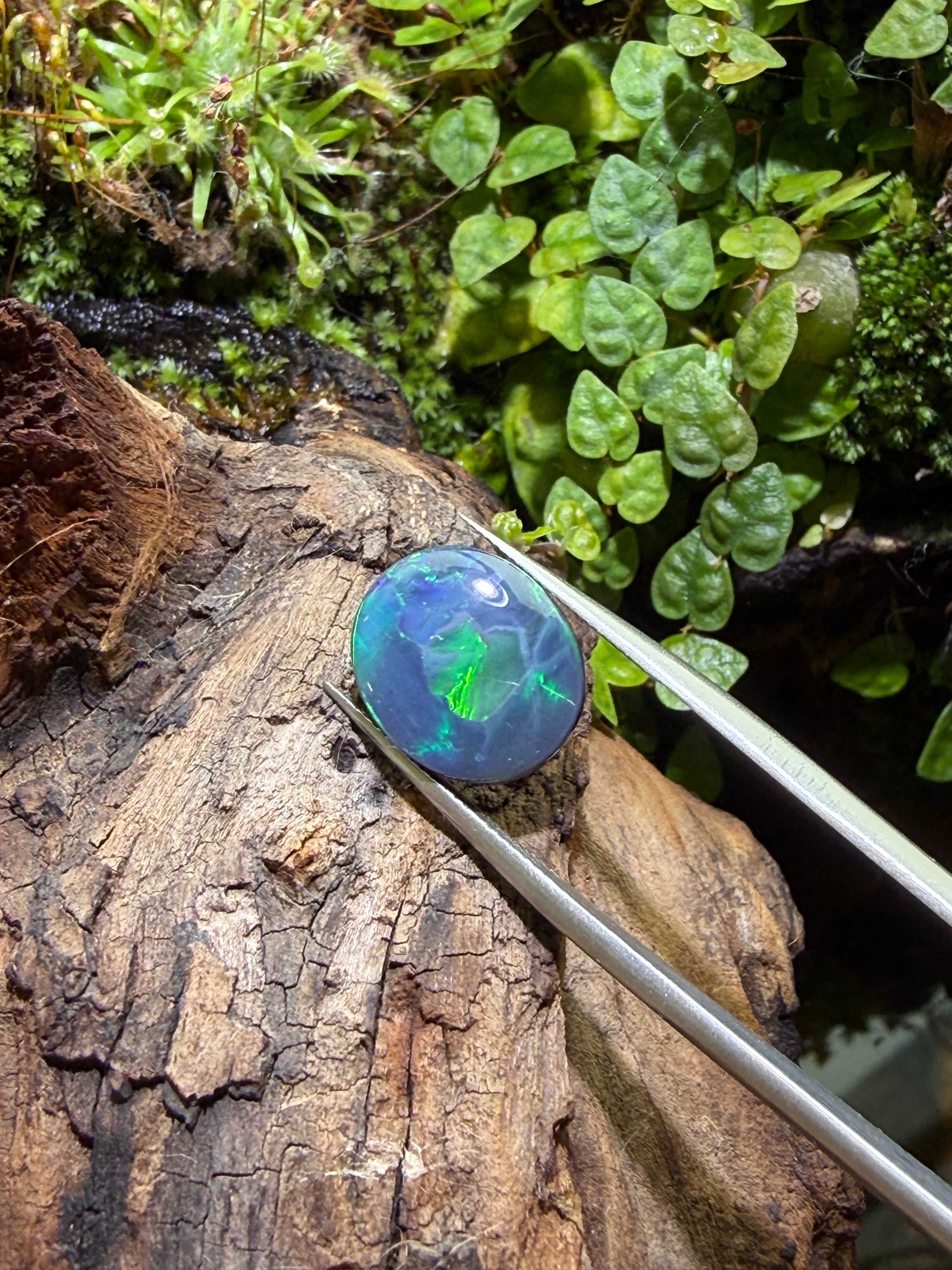 4.27CT Genuine Australian Black Opal Gemstone – Oval Cabochon | Play‑of‑Color | Australian Origin