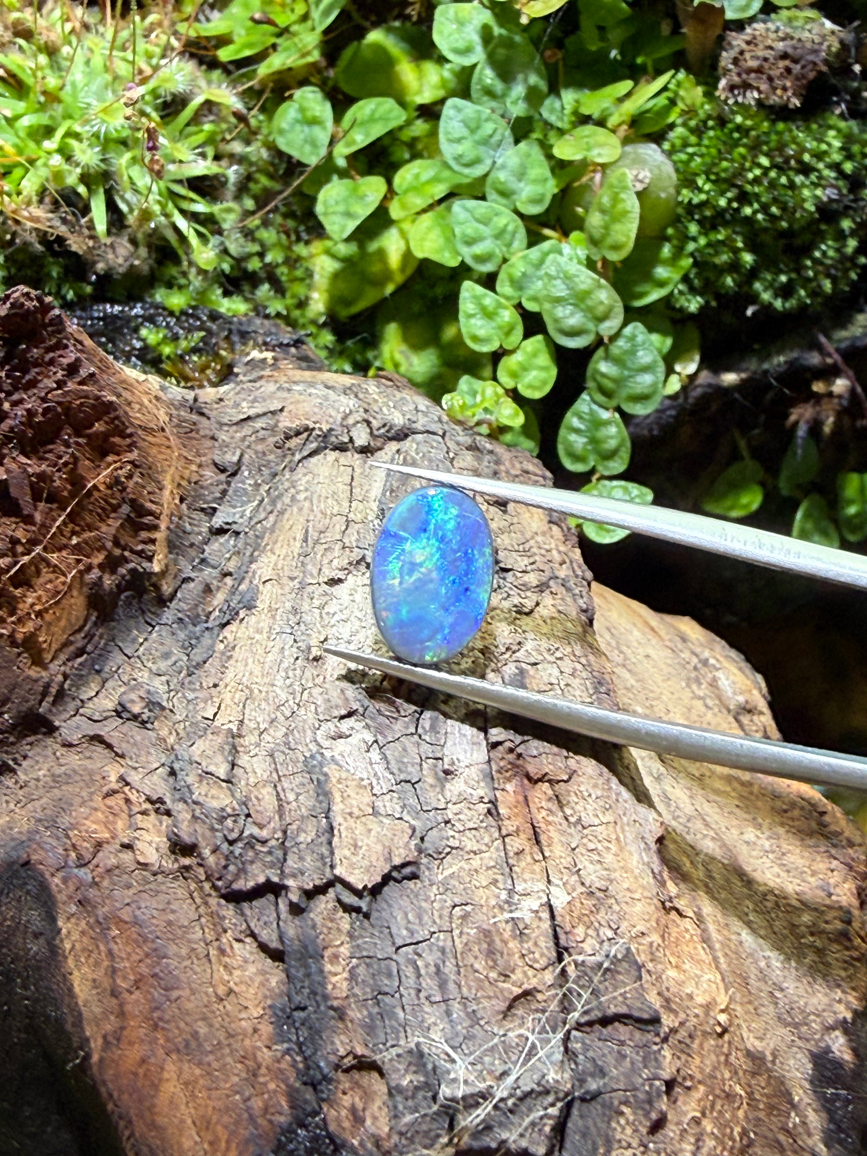 1.77CT Genuine Australian Black Opal Gemstone – Oval Cabochon | Play‑of‑Color | Australian Origin