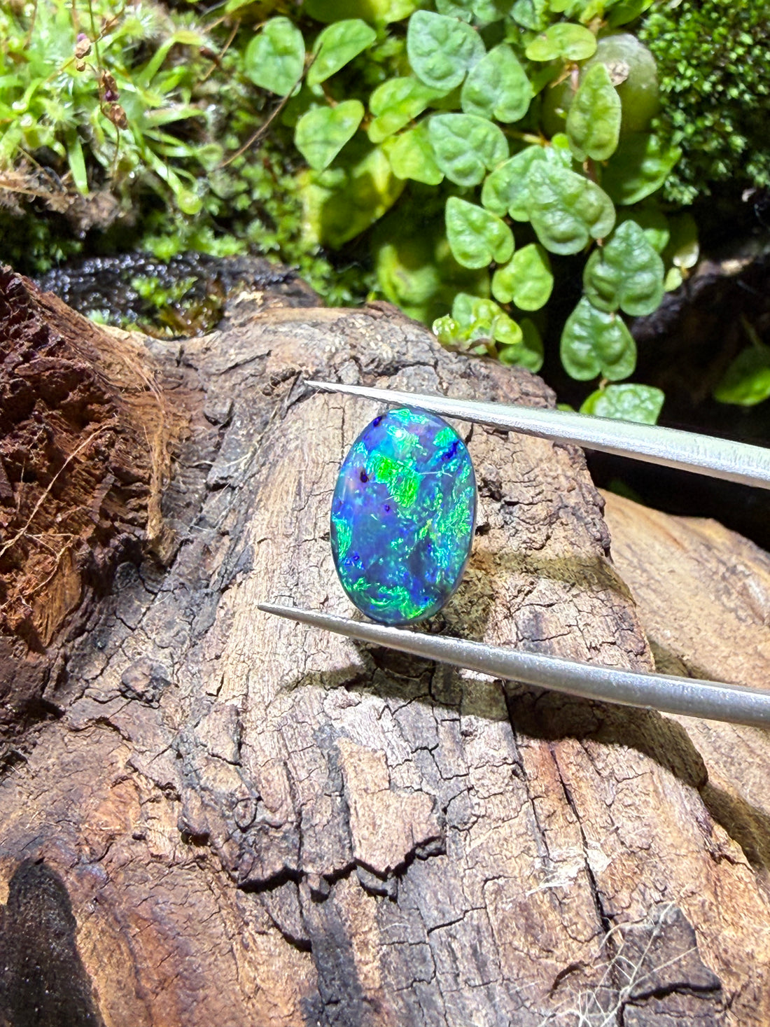 2.48CT Genuine Australian Black Opal Gemstone – Oval Cabochon | Play‑of‑Color | Australian Origin