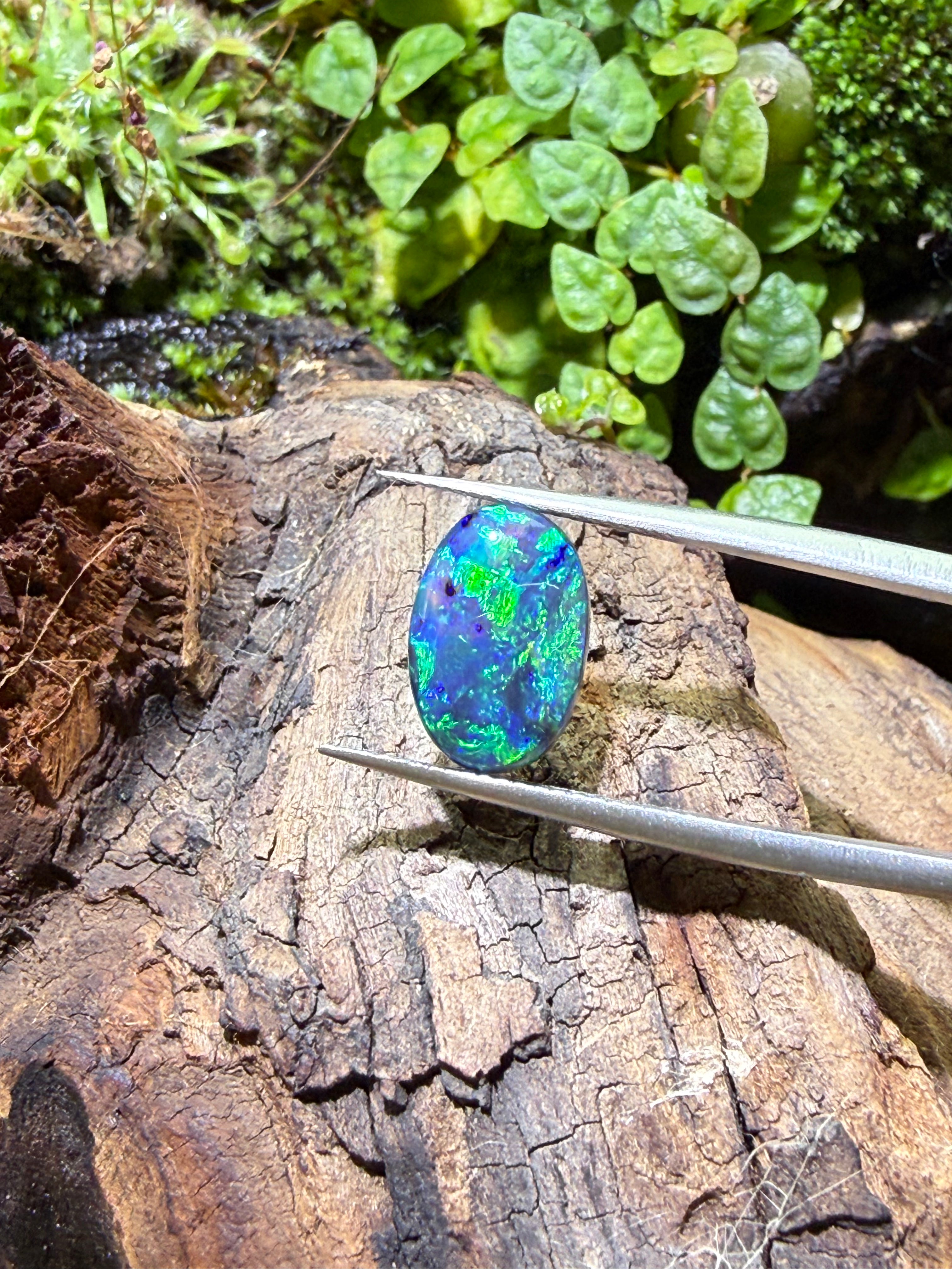 2.48CT Genuine Australian Black Opal Gemstone – Oval Cabochon | Play‑of‑Color | Australian Origin
