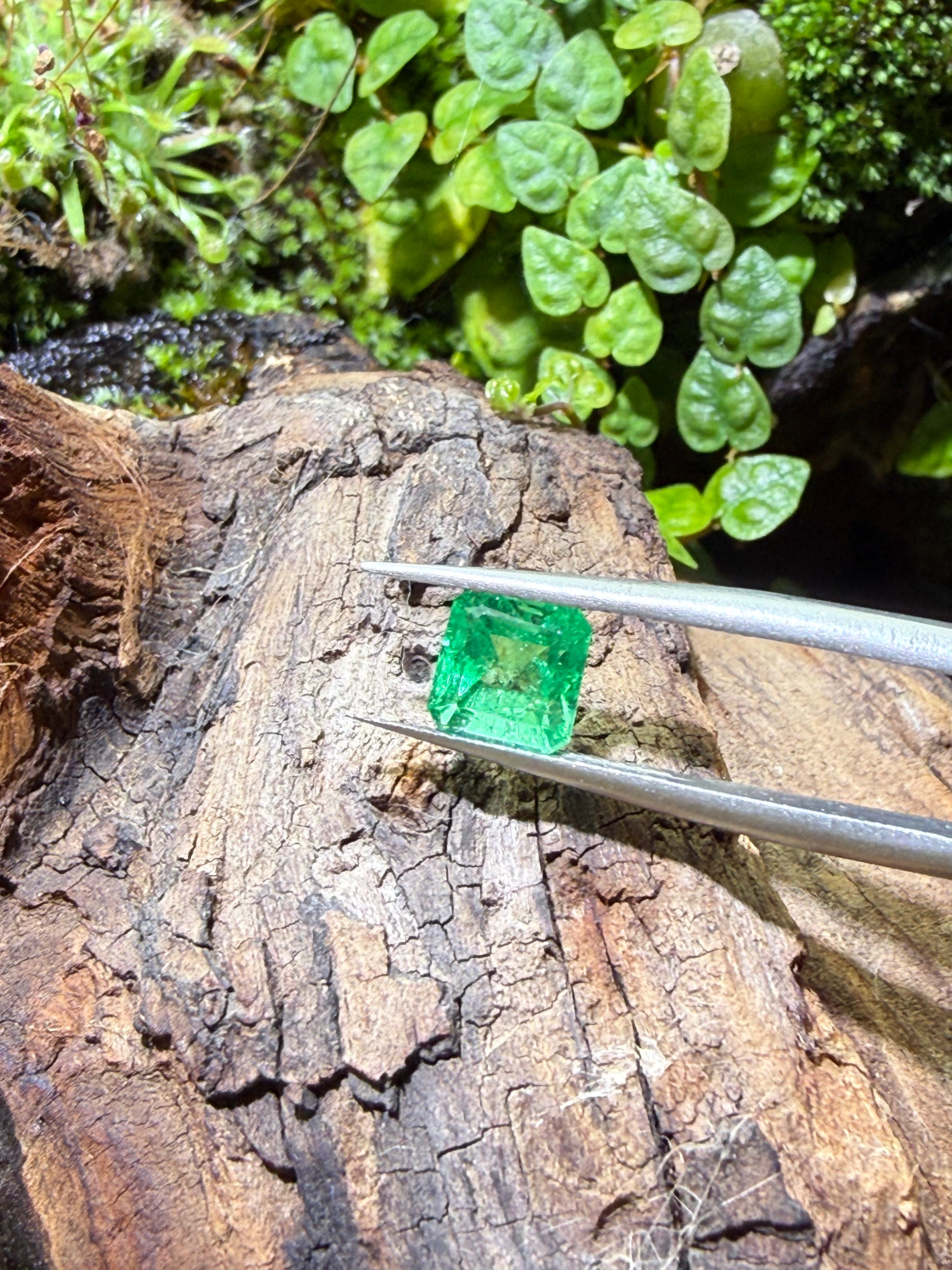1.21CT Genuine Colombian Emerald Gemstone – Square Emerald Cut | Muzo Origin | Unheated | Guild Certified