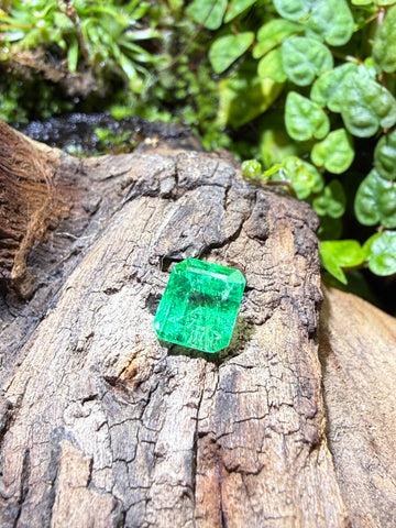 1.21CT Genuine Colombian Emerald Gemstone – Square Emerald Cut | Muzo Origin | Unheated | Guild Certified