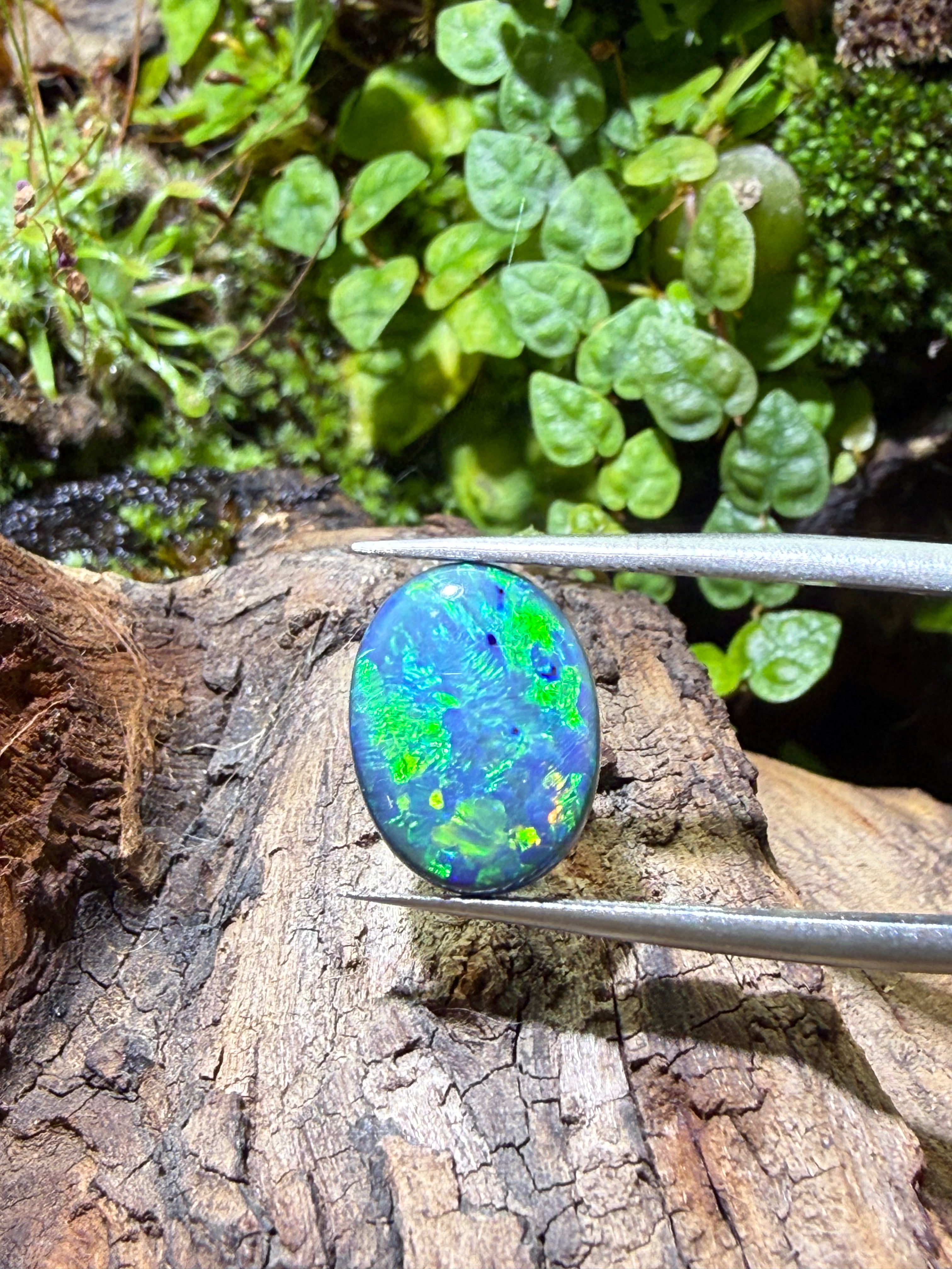 3.65CT Genuine Australian Black Opal Gemstone – Oval Cabochon | Play‑of‑Color | Australian Origin