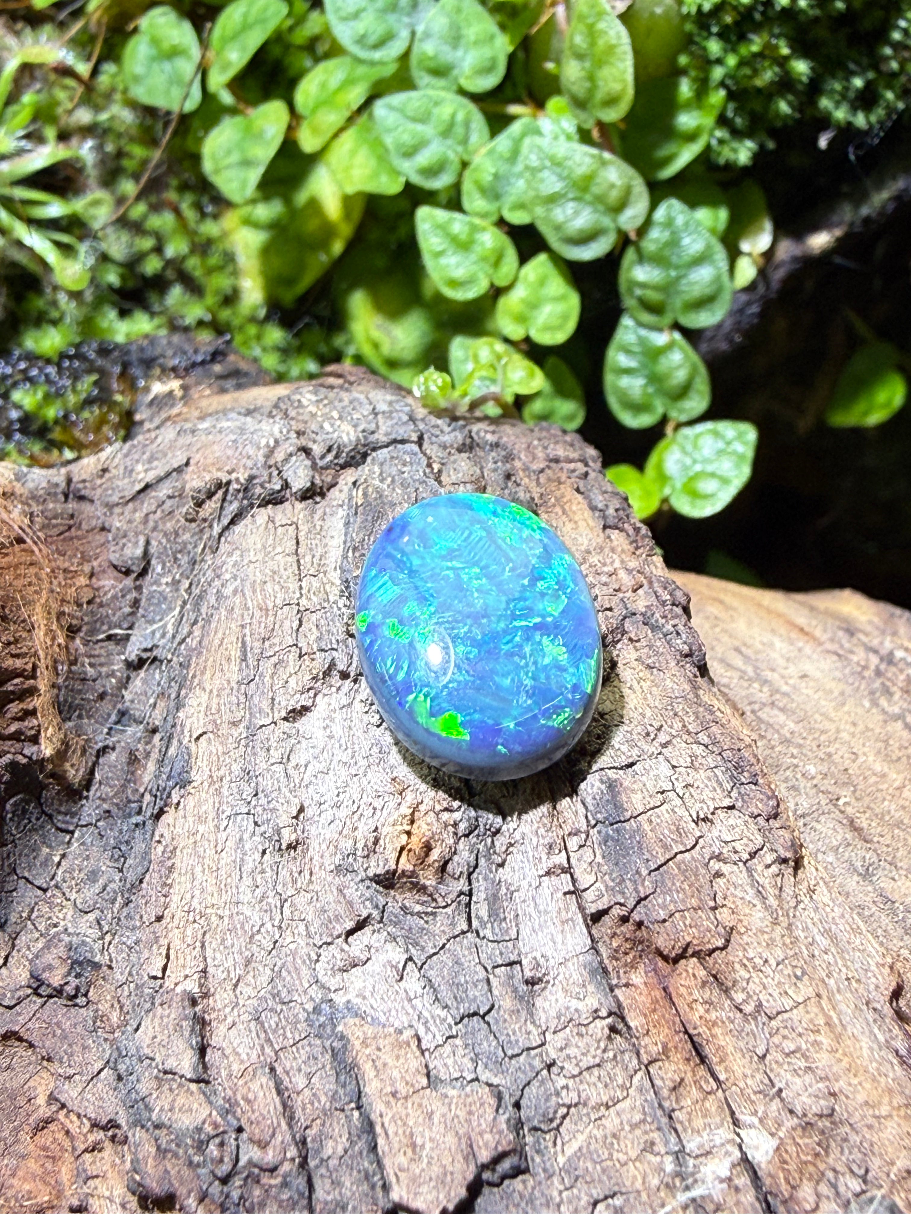 3.65CT Genuine Australian Black Opal Gemstone – Oval Cabochon | Play‑of‑Color | Australian Origin