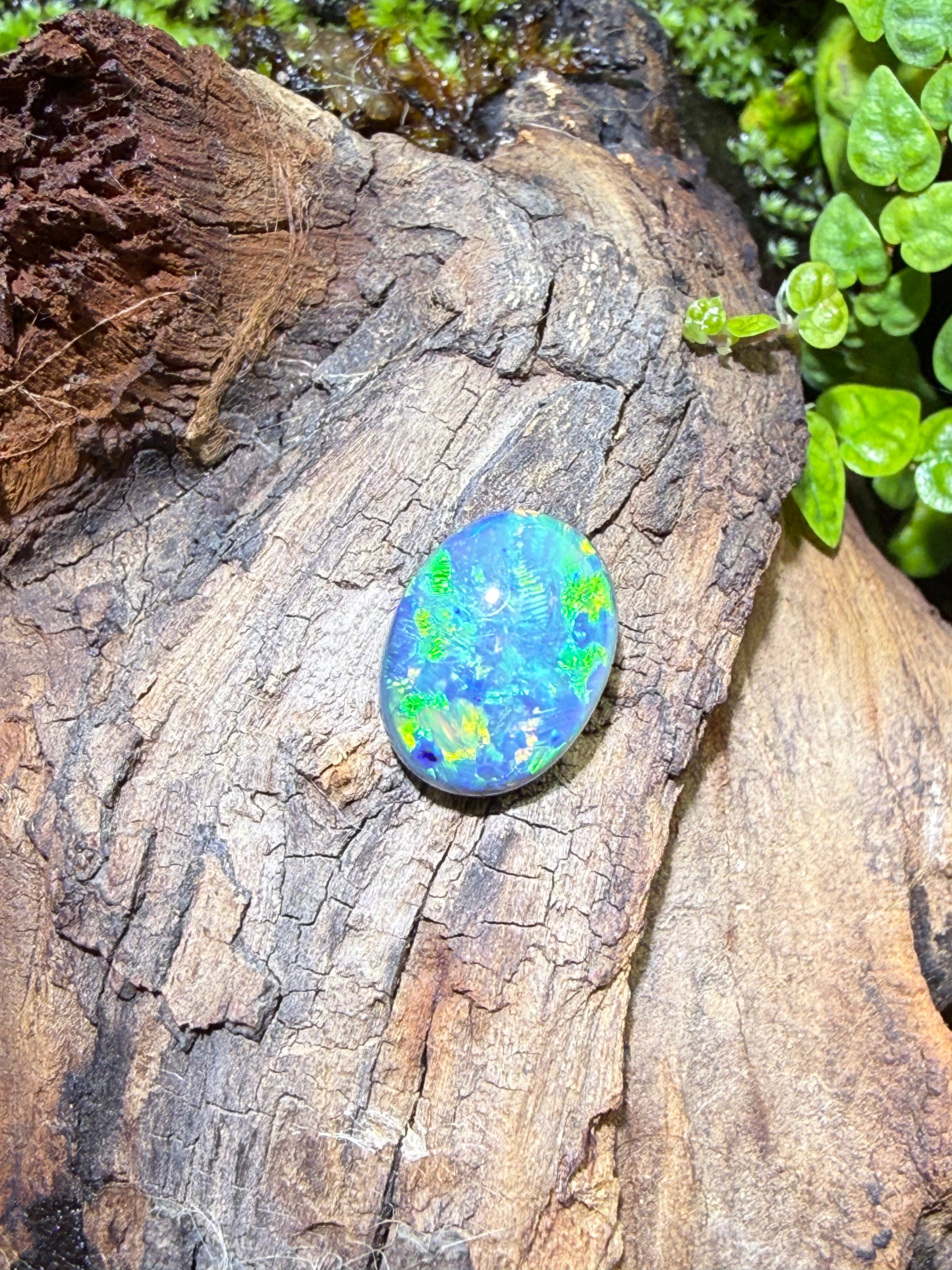 3.65CT Genuine Australian Black Opal Gemstone – Oval Cabochon | Play‑of‑Color | Australian Origin