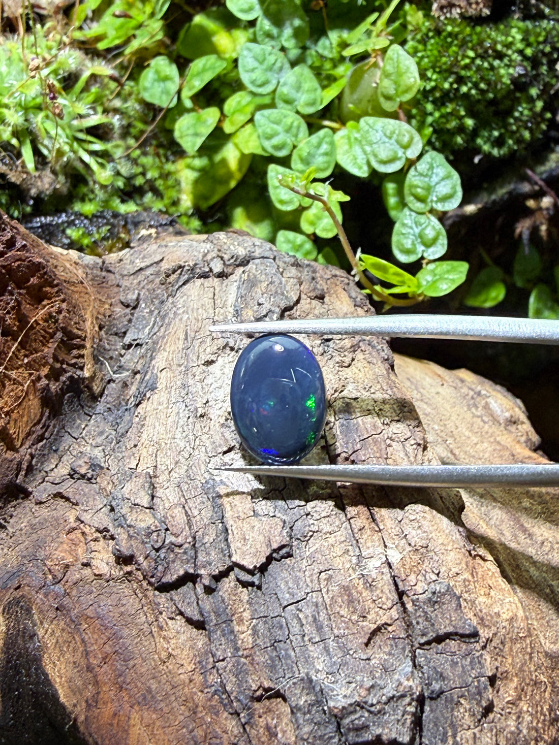 2.56CT Genuine Australian Black Opal Gemstone – Oval Cabochon | Play‑of‑Color | Australian Origin