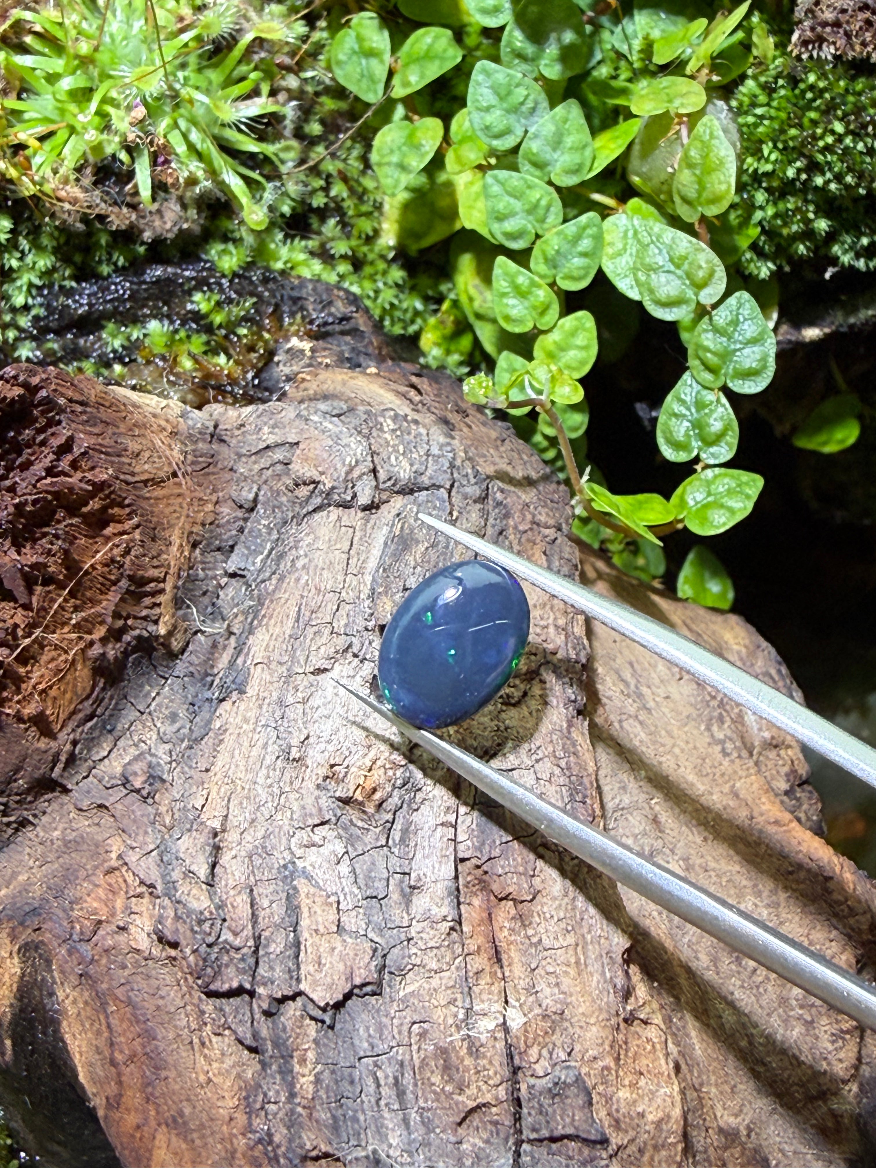 2.56CT Genuine Australian Black Opal Gemstone – Oval Cabochon | Play‑of‑Color | Australian Origin