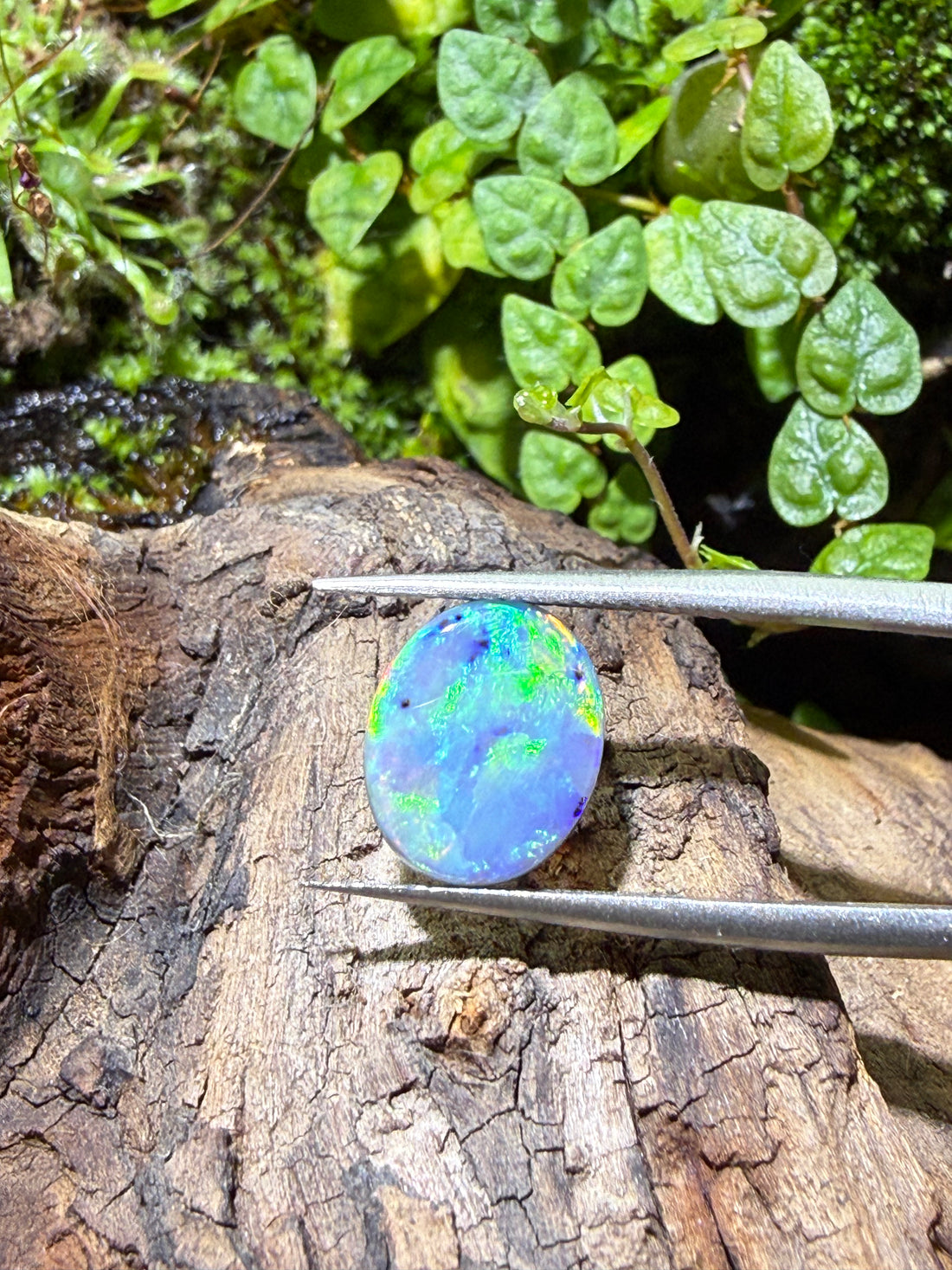 1.85CT Genuine Australian Black Opal Gemstone – Oval Cabochon | Play‑of‑Color | Australian Origin