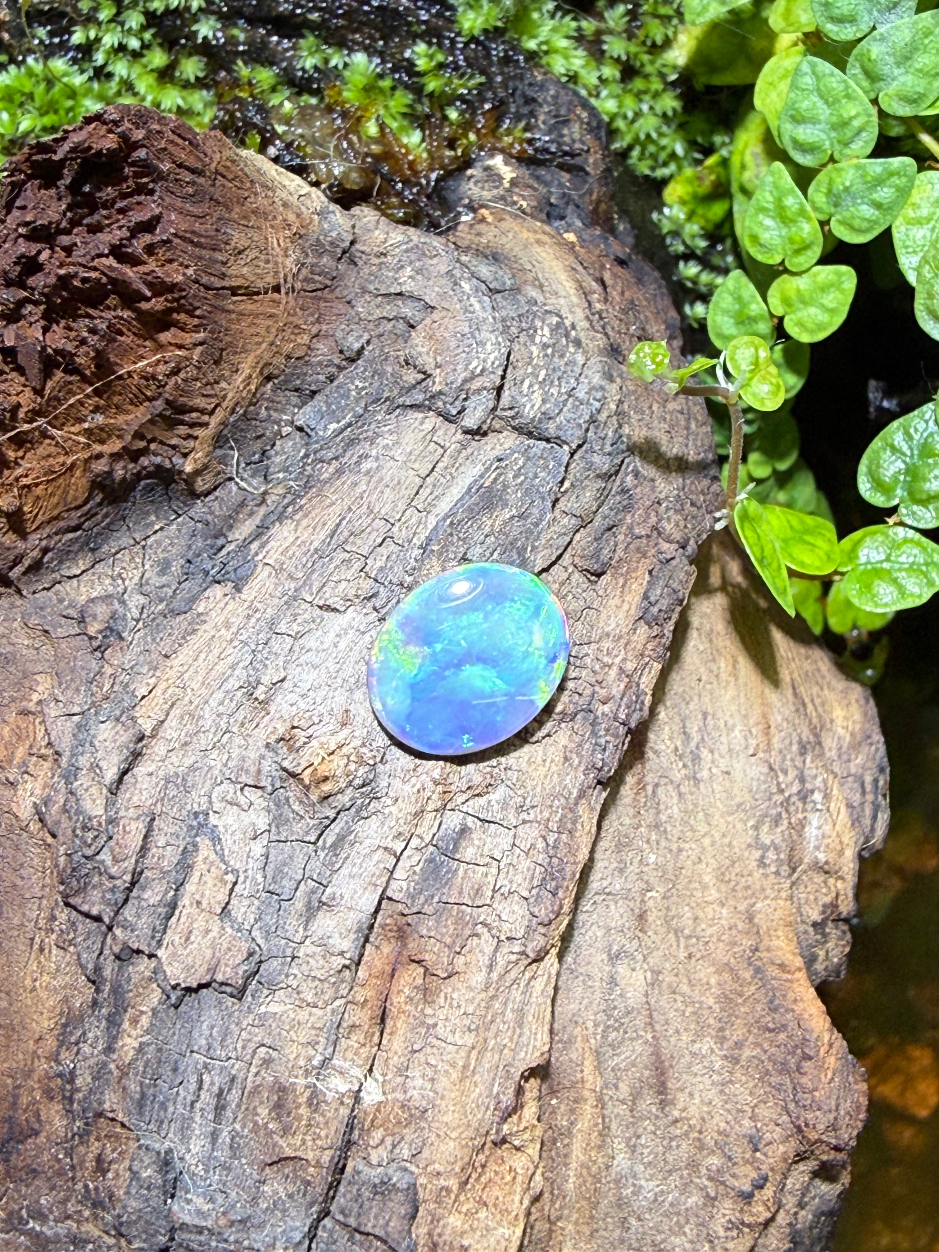 1.85CT Genuine Australian Black Opal Gemstone – Oval Cabochon | Play‑of‑Color | Australian Origin