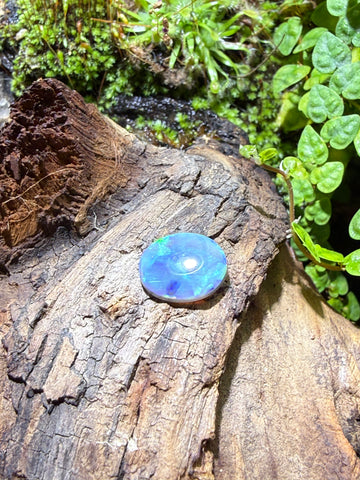 1.85CT Genuine Australian Black Opal Gemstone – Oval Cabochon | Play‑of‑Color | Australian Origin
