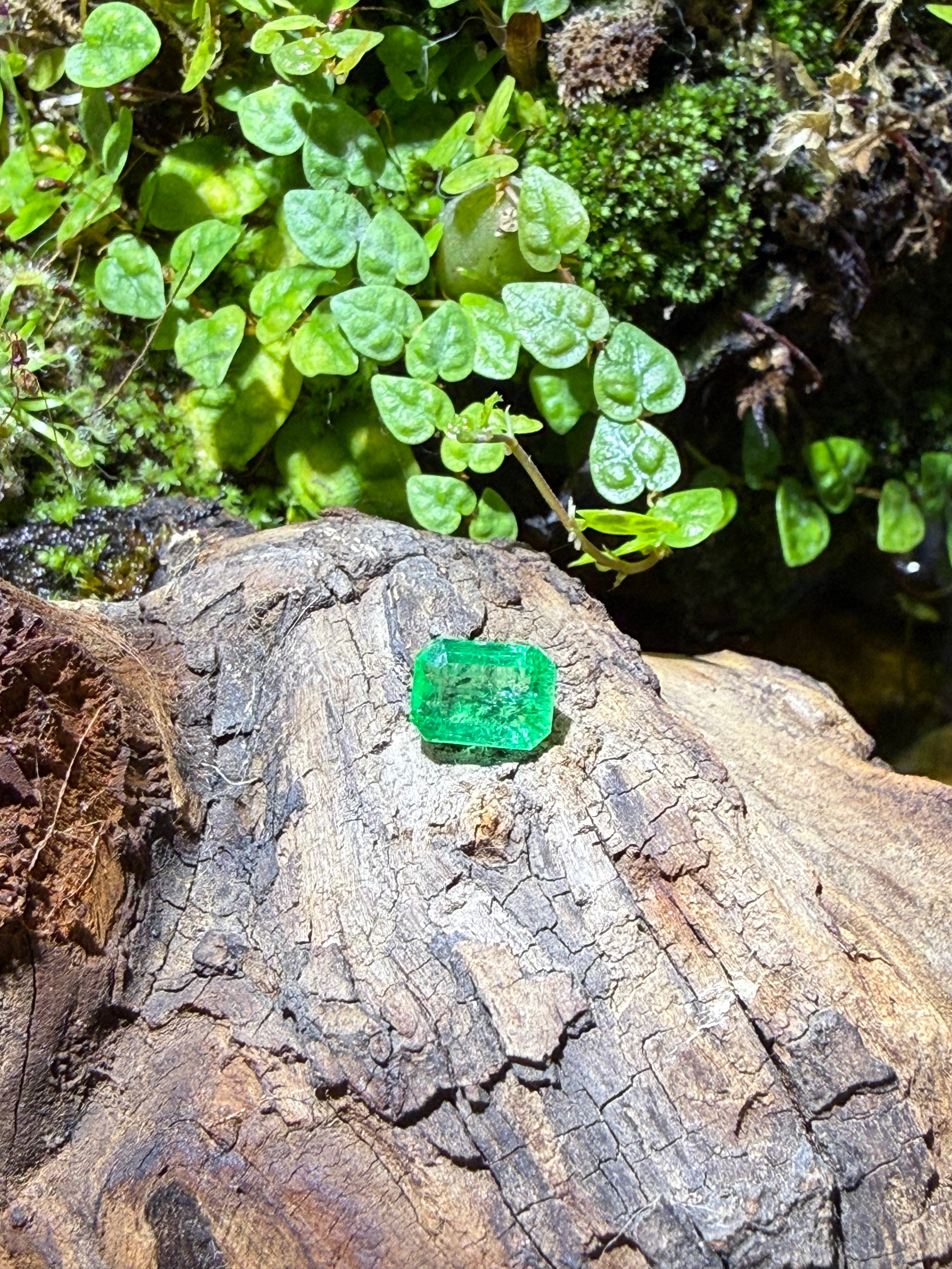 1.71CT Natural Emerald Gemstone – Emerald Cut Vivid Green Loose Gem