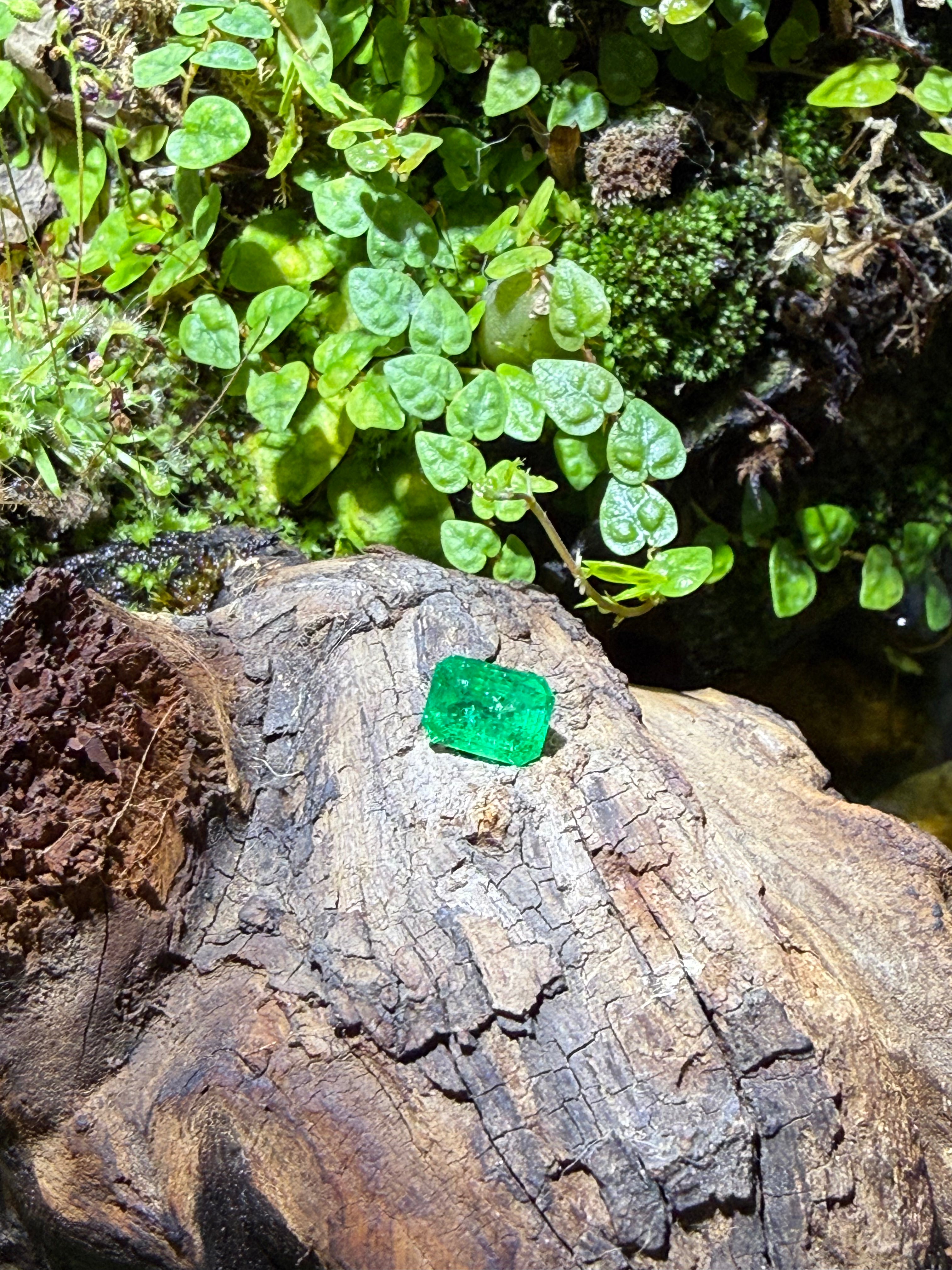 1.58CT Certified Natural Muzo Emerald Gemstone – Emerald Cut | Guild Certified