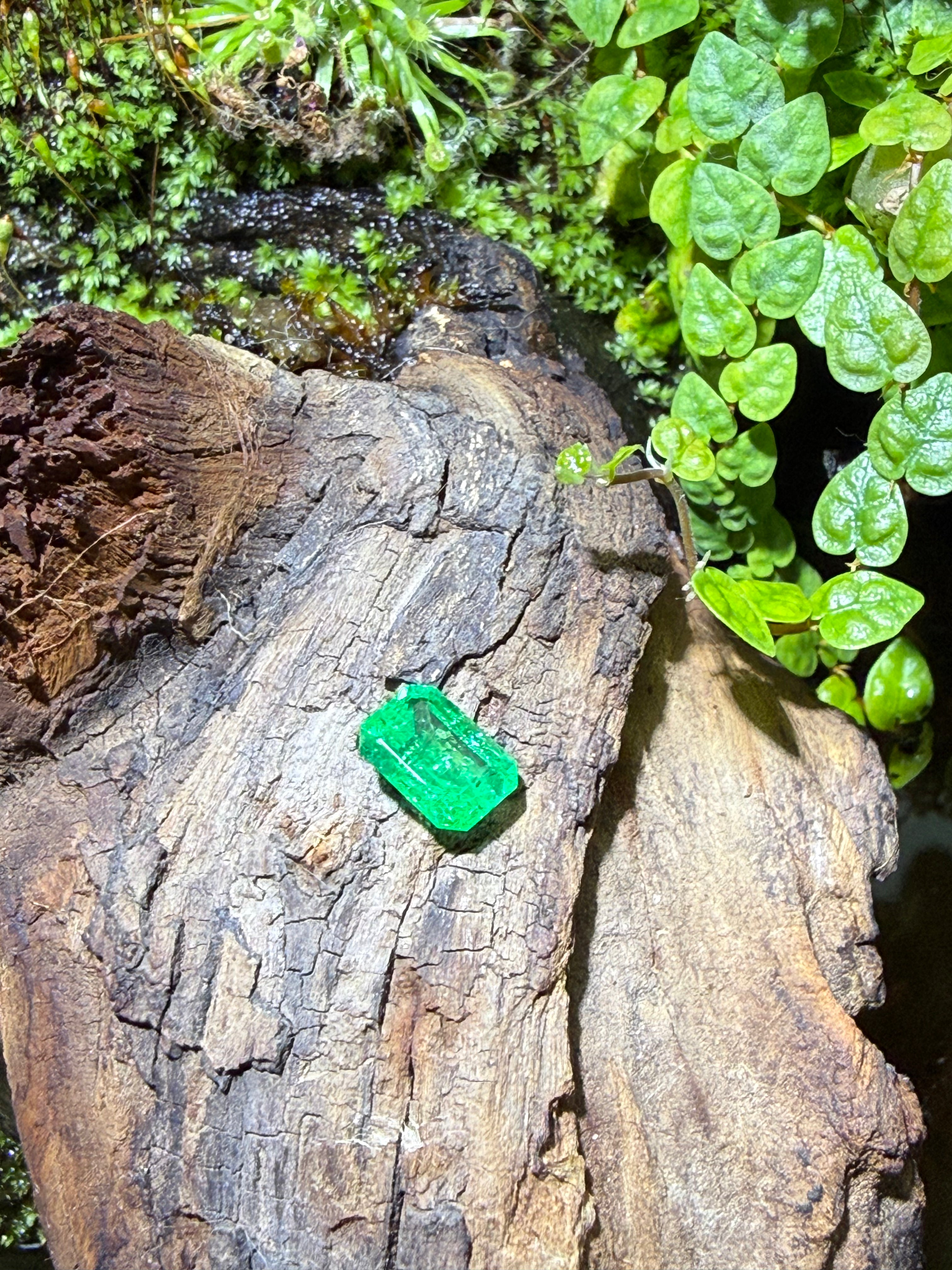1.58CT Certified Natural Muzo Emerald Gemstone – Emerald Cut | Guild Certified