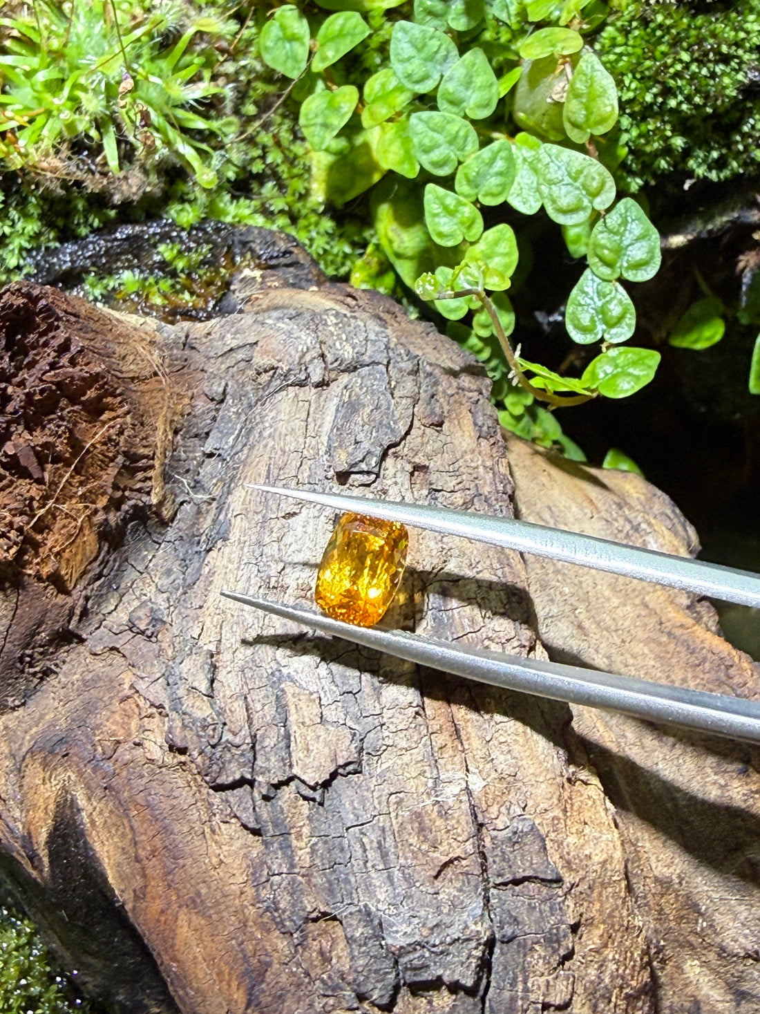 1.81CT Natural Fanta Orange Spessartite Garnet Gemstone – Cushion Cut Loose Gem