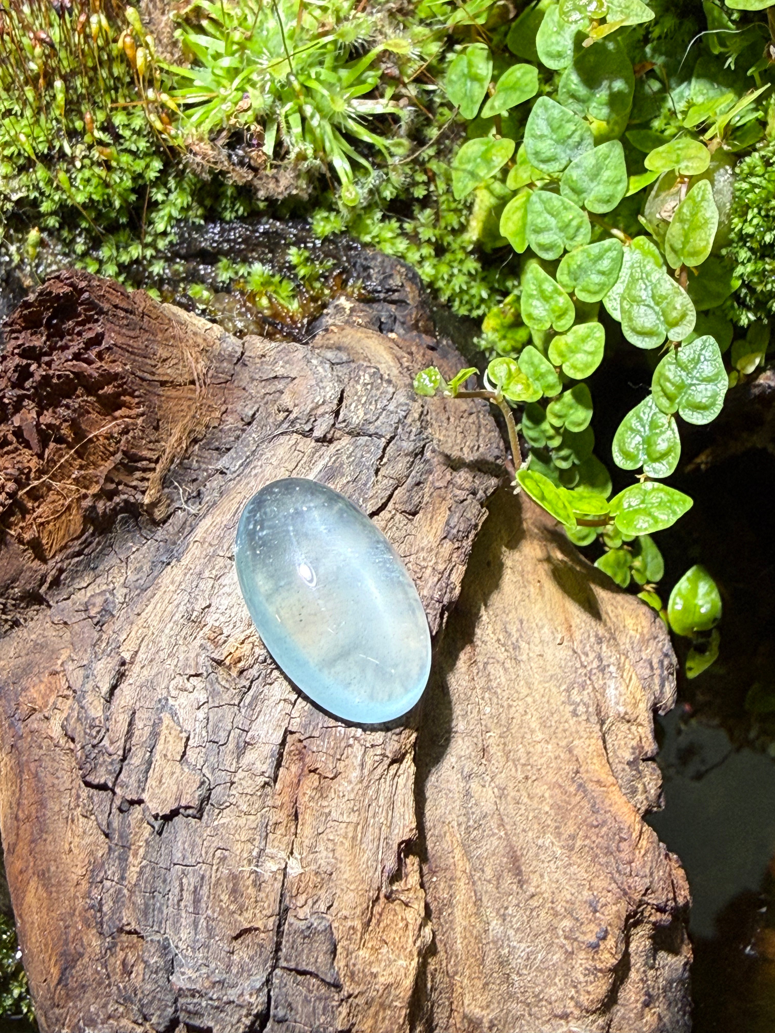 11.5CT Natural Aquamarine Gemstone – Oval Cabochon Loose Gem