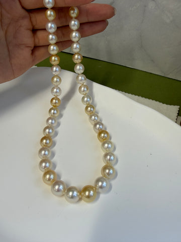 PSL Certified 9.1–11.4mm Multicolor South Sea Pearl Necklace