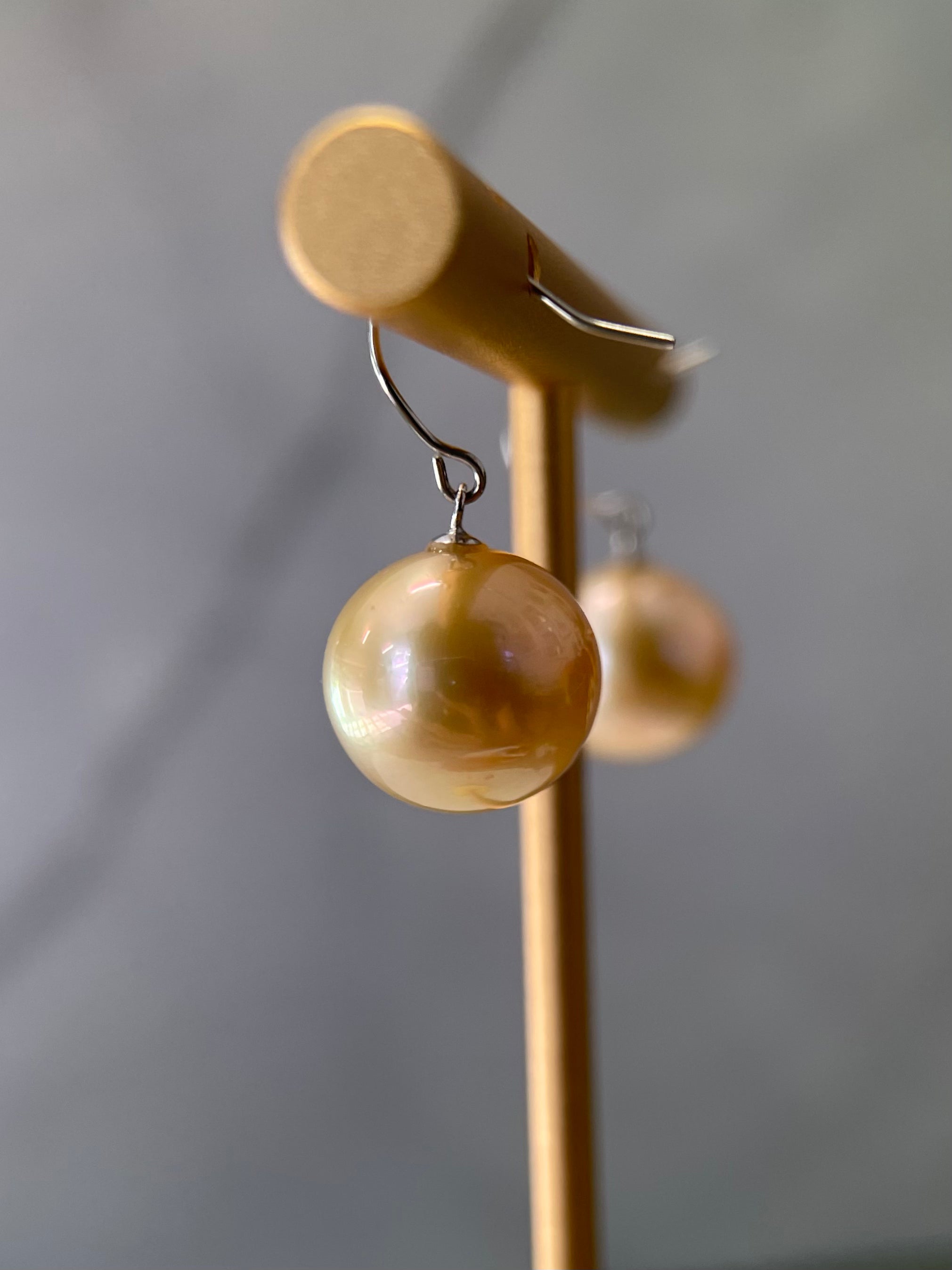 10–11mm Golden South Sea Pearl Hook Earrings in Platinum