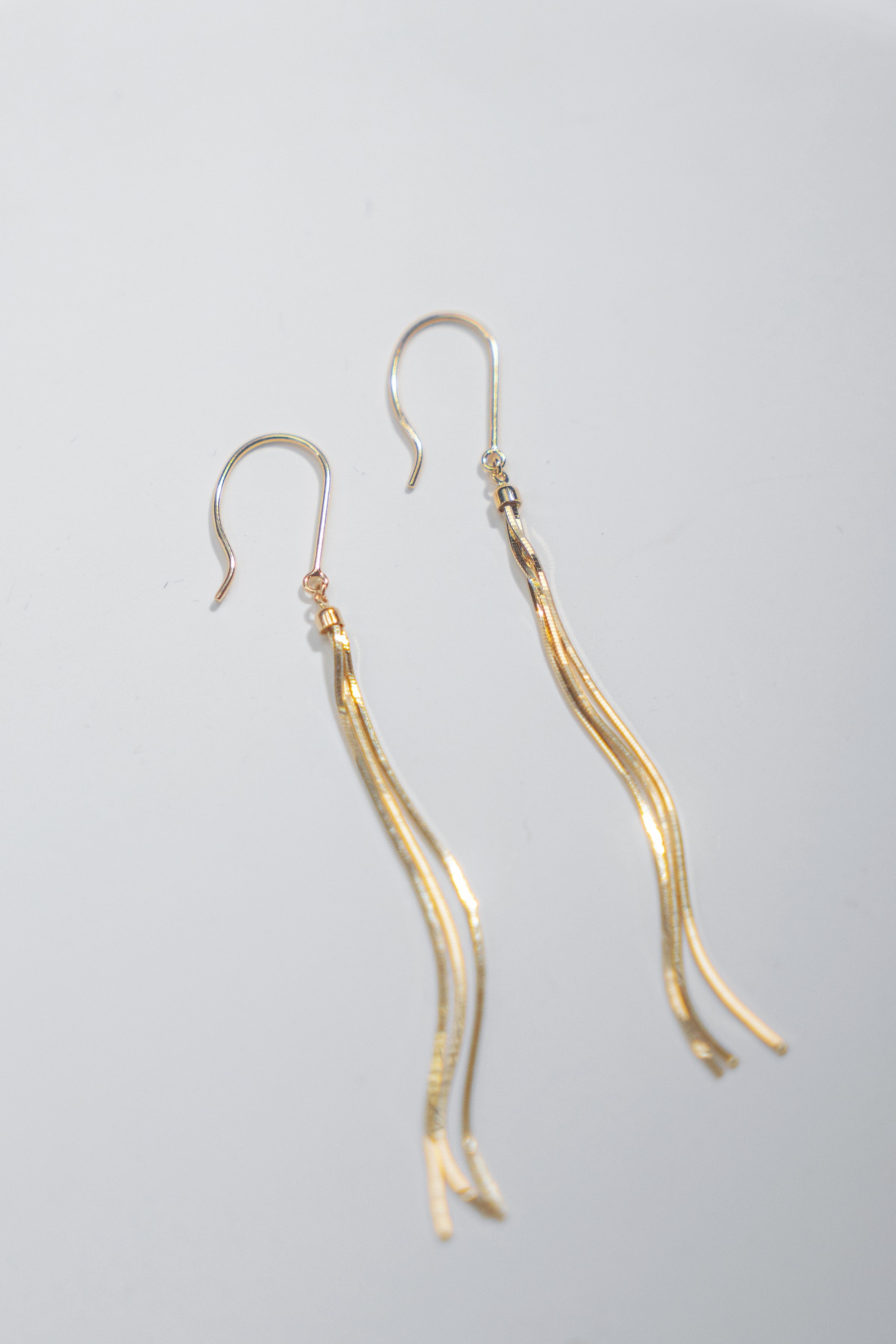 Snake Chain Ear Hooks